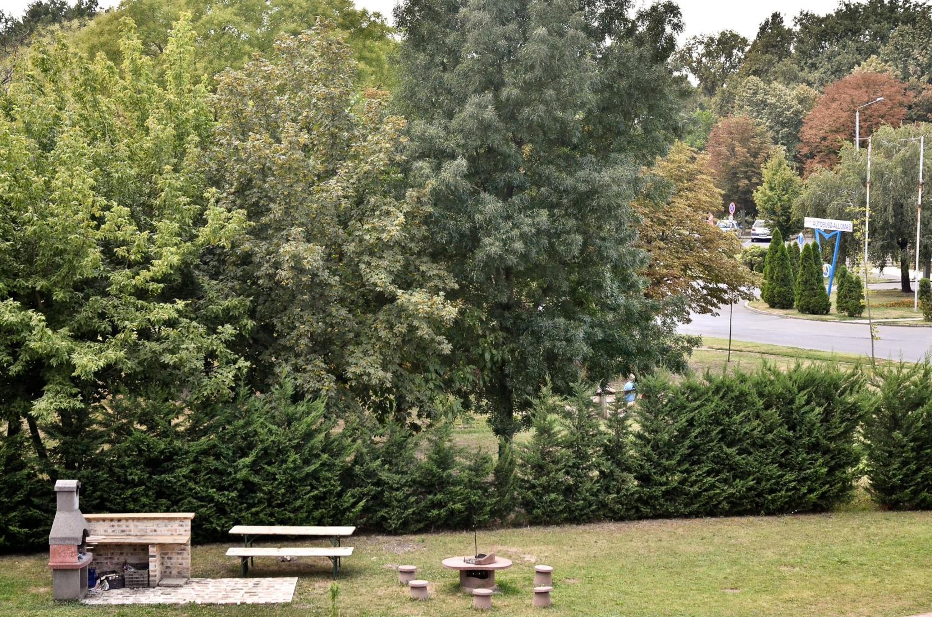 Photo 40
