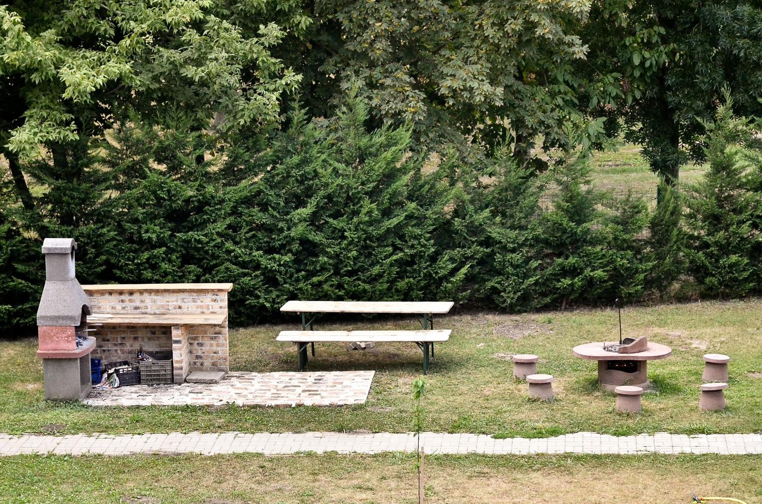Photo 41