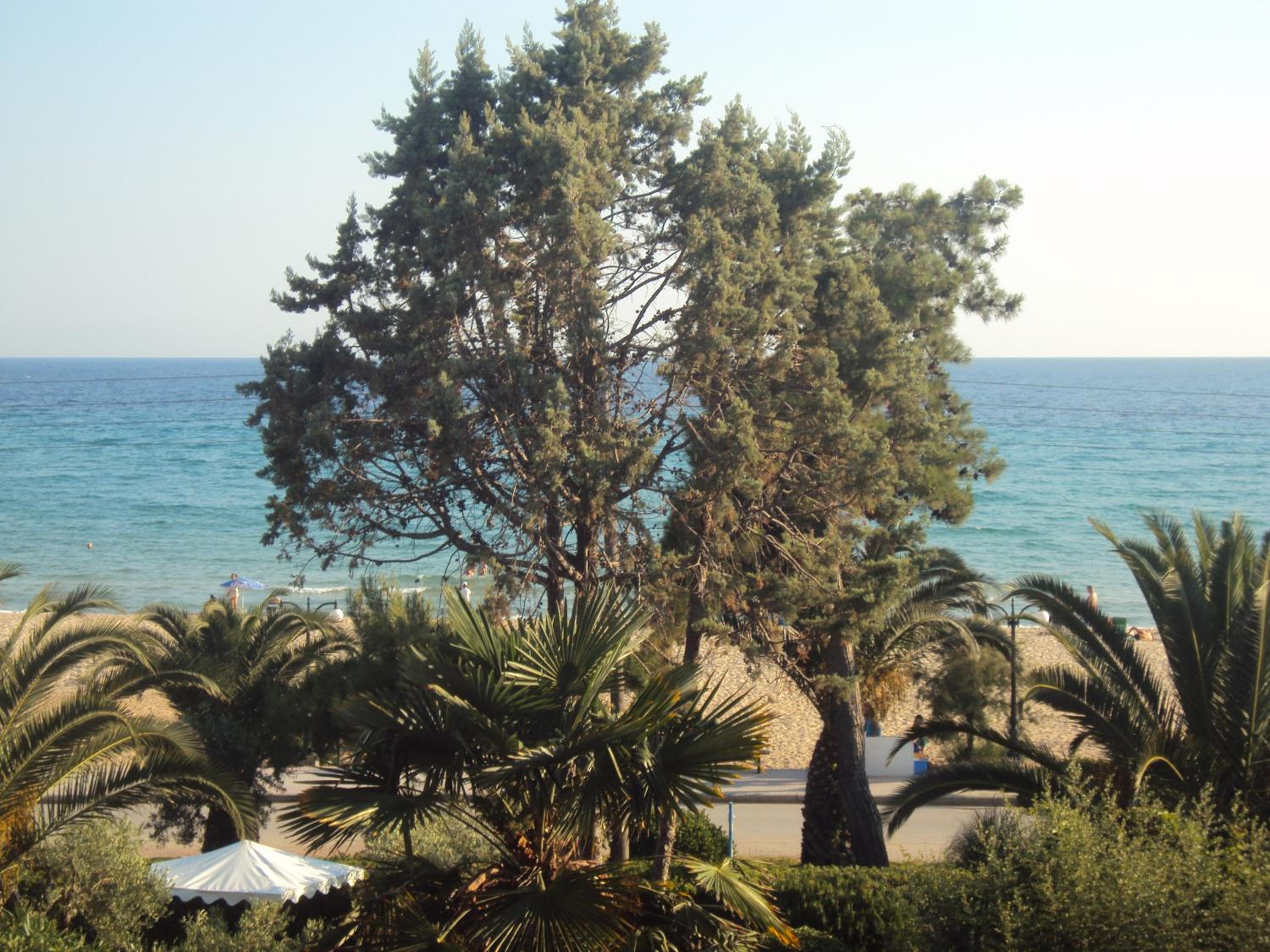 MARINA'S APARTMENT view 2