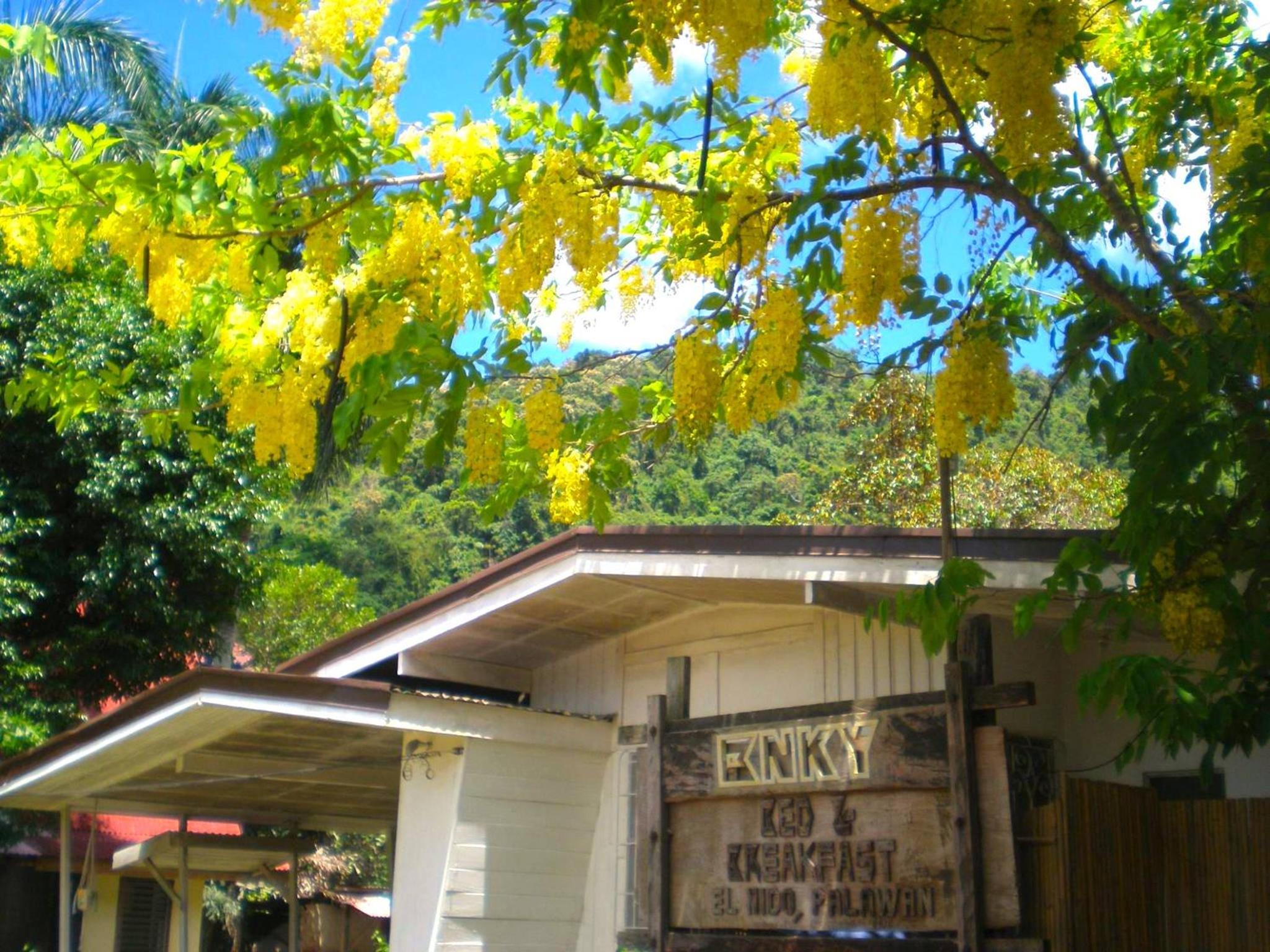 UrbanView BNKY Bed and Breakfast Palawan by RedDoorz view 4