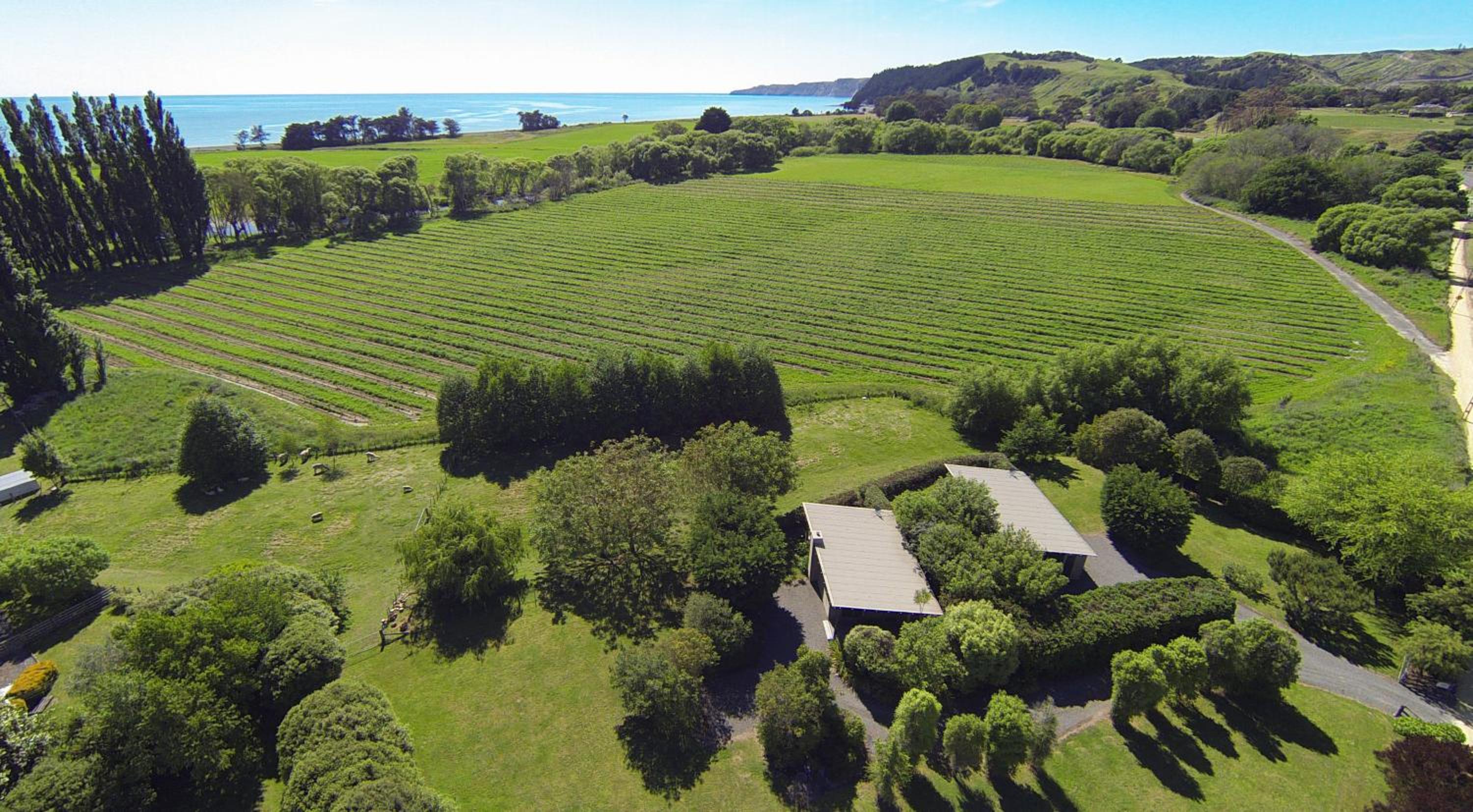 Coastal Cottage Retreat - Te Awanga Cottages view 3