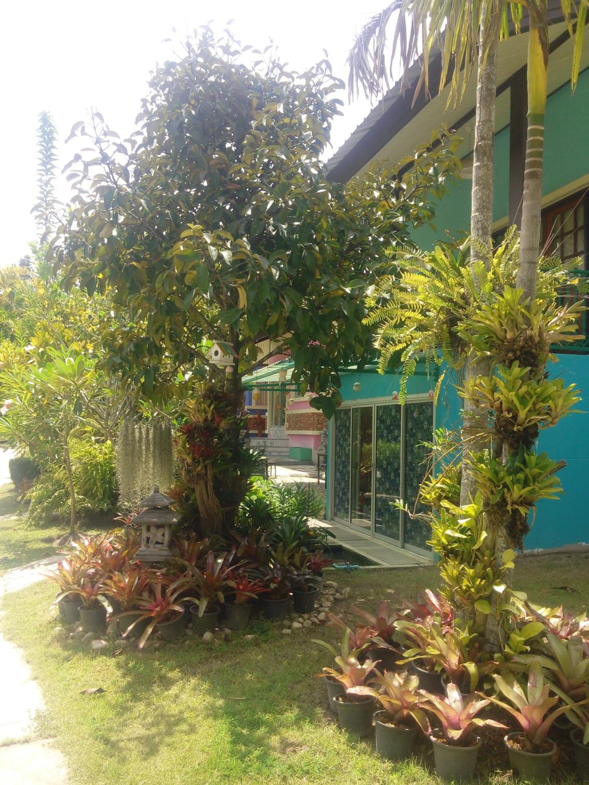 Ya Teng Homestay