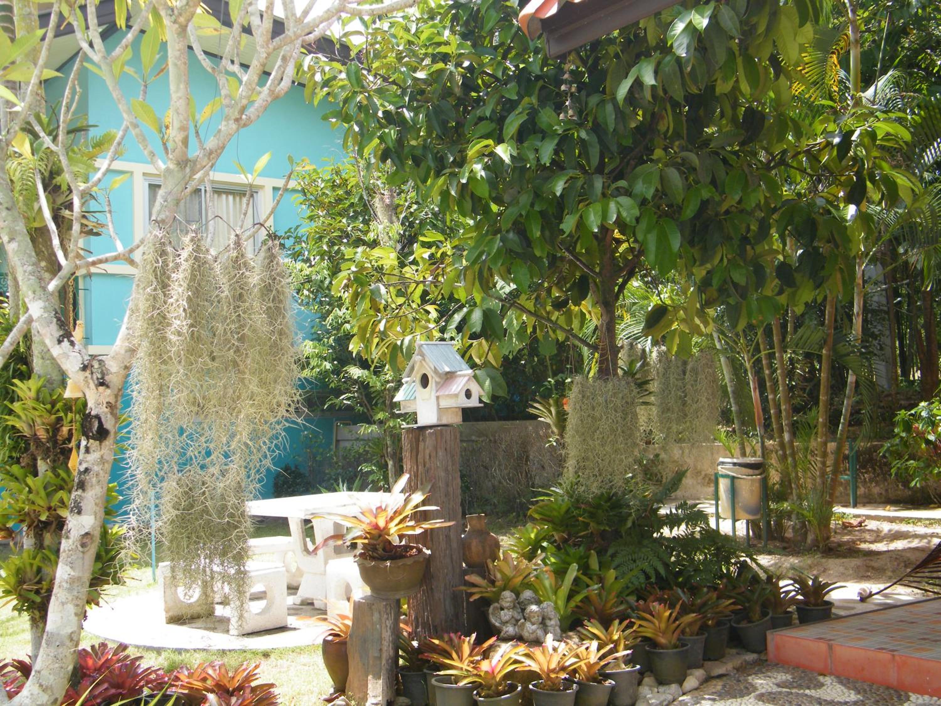 Ya Teng Homestay