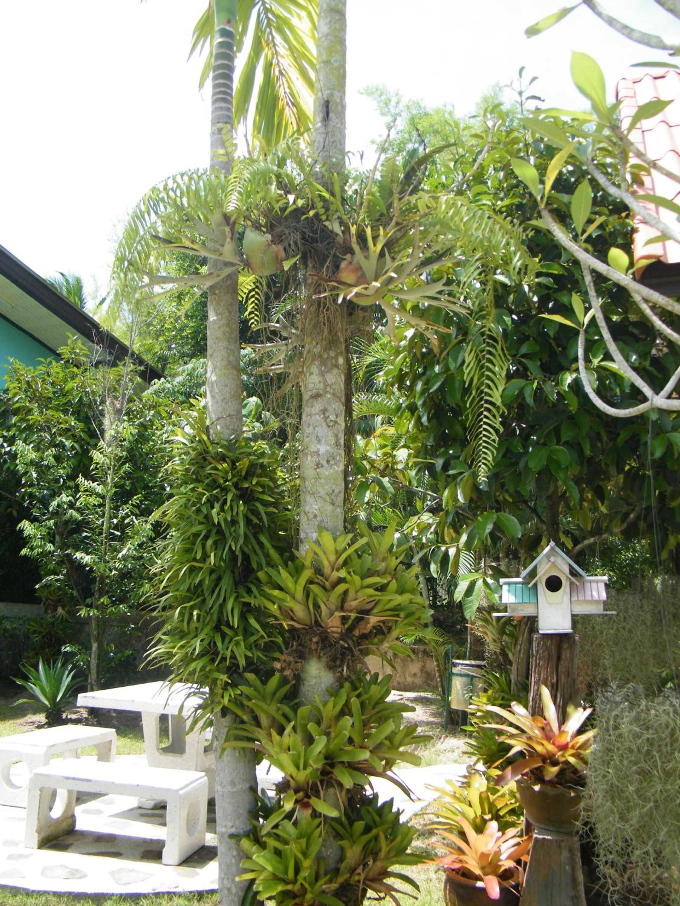 Ya Teng Homestay