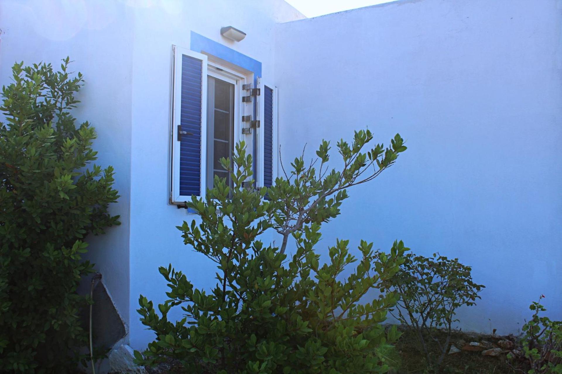 Photo 42