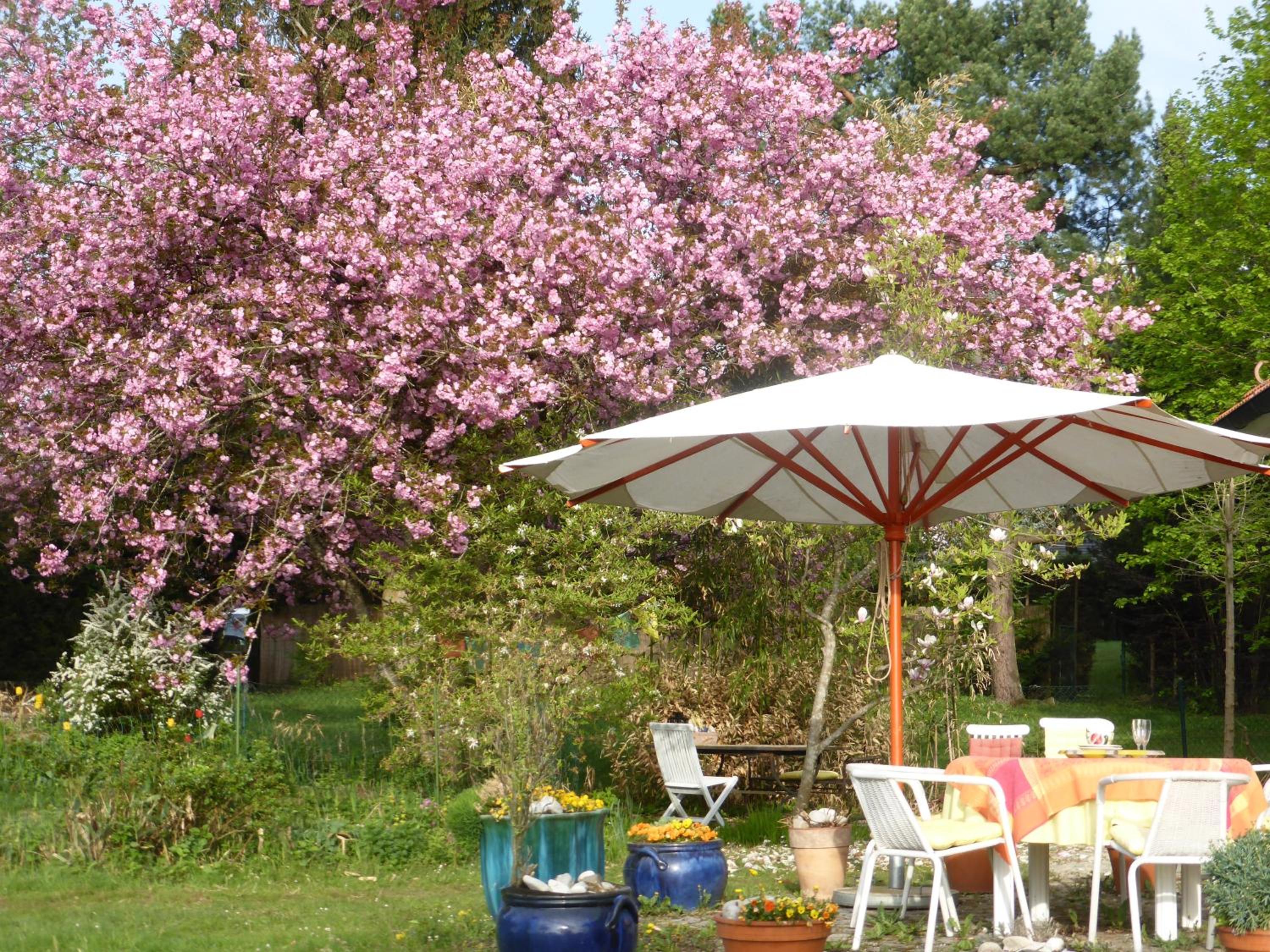 Bed and Breakfast Bavaria München