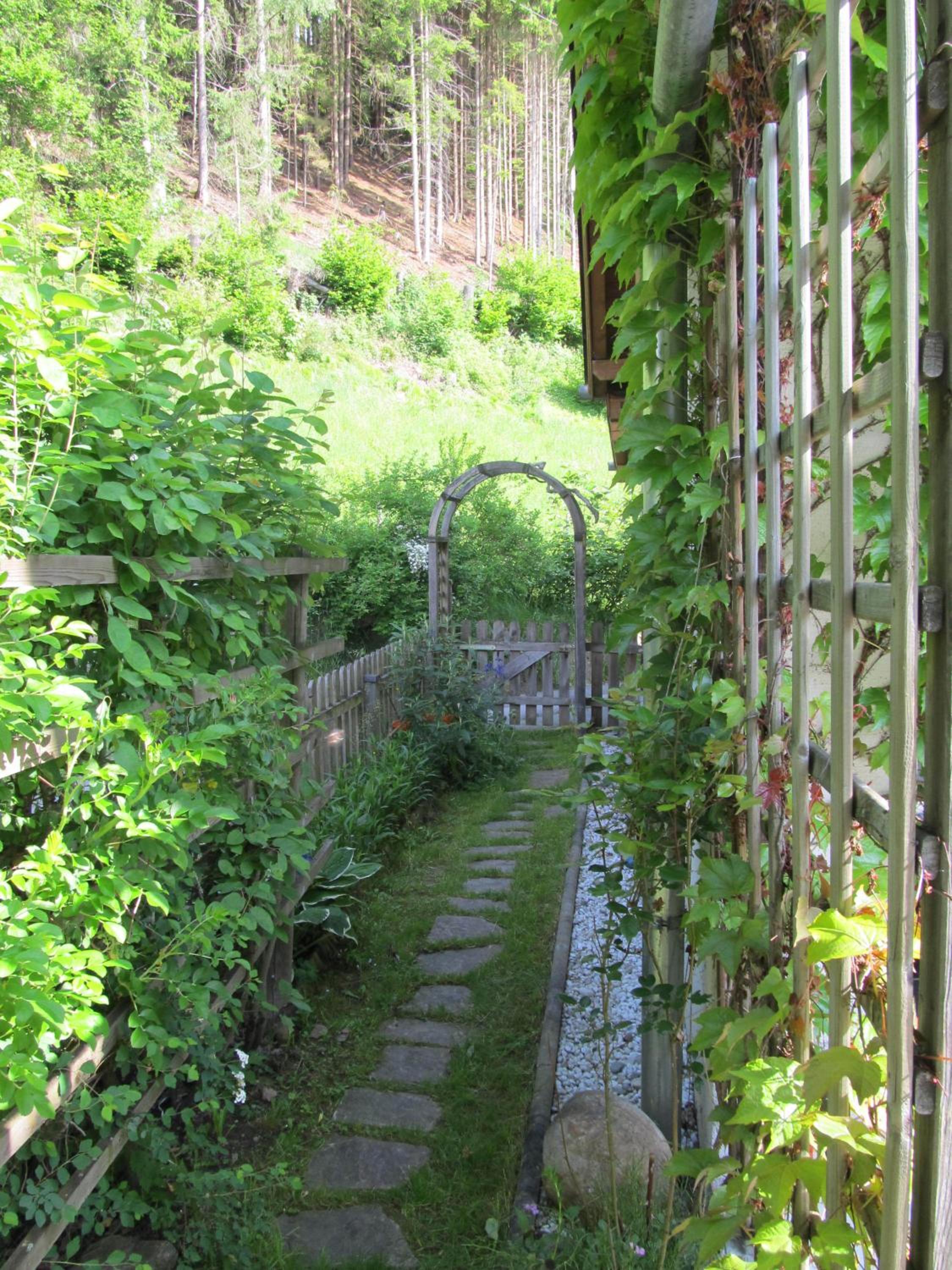 Ferienhaus Waldsicht view 4