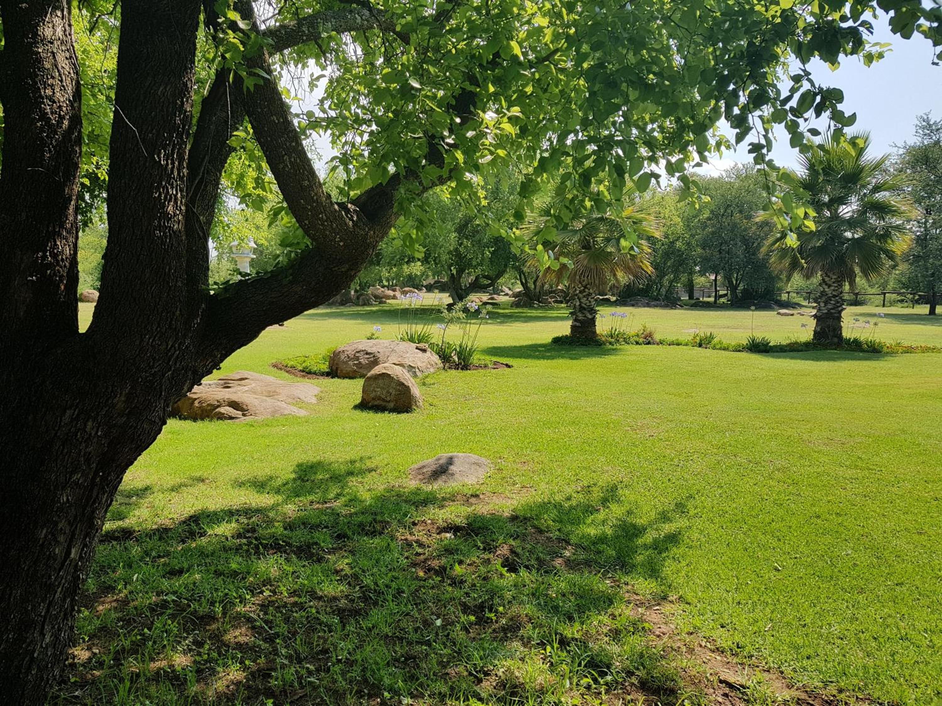 Photo 26