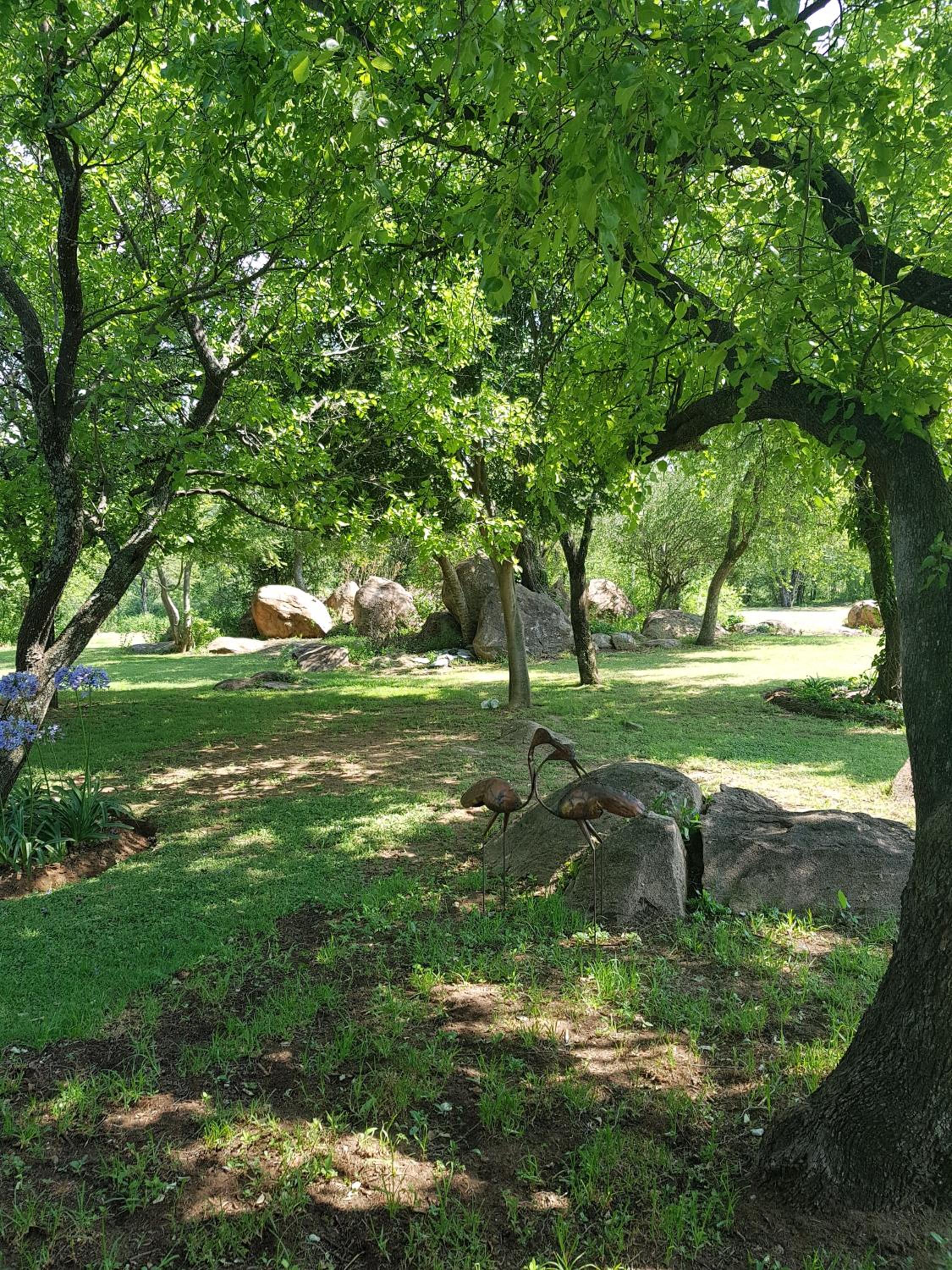 Photo 28