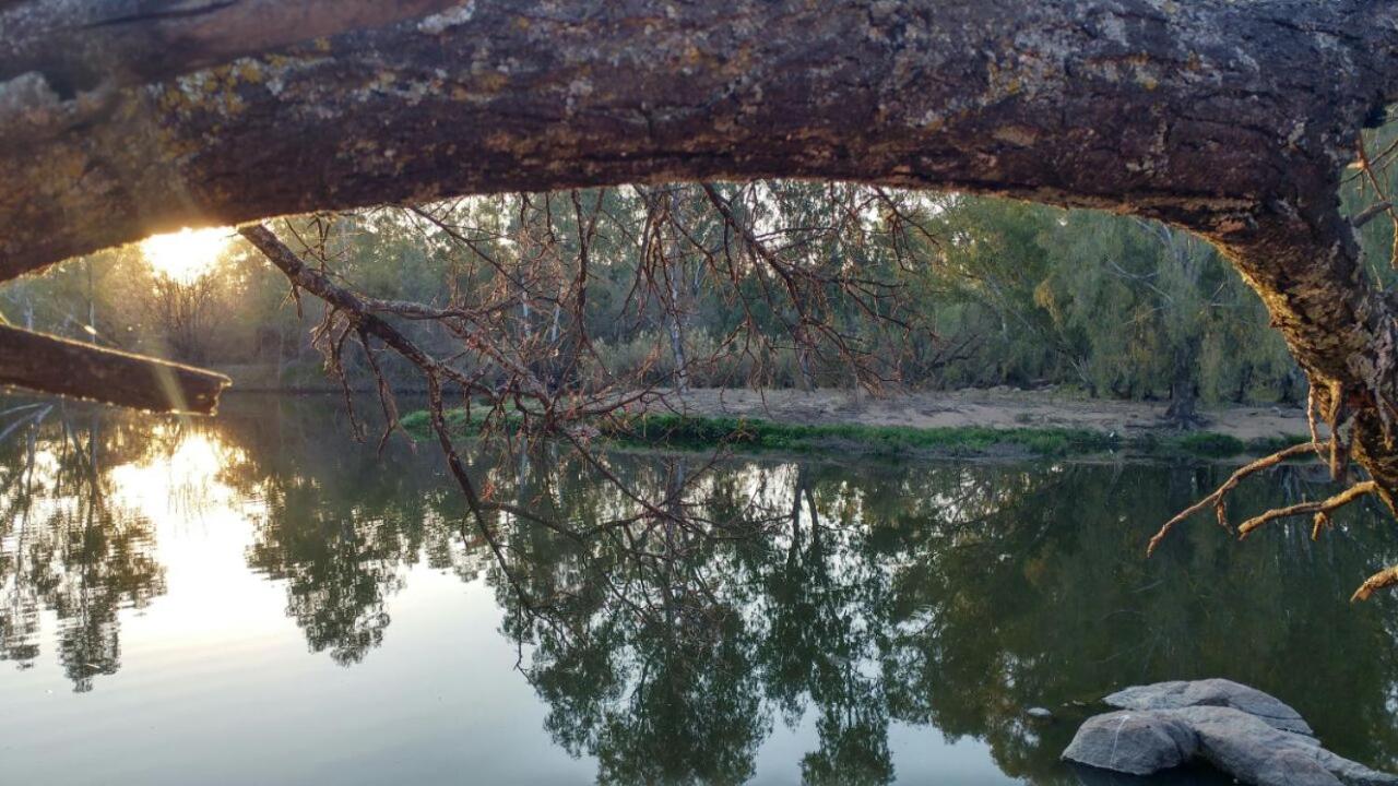 Photo 19