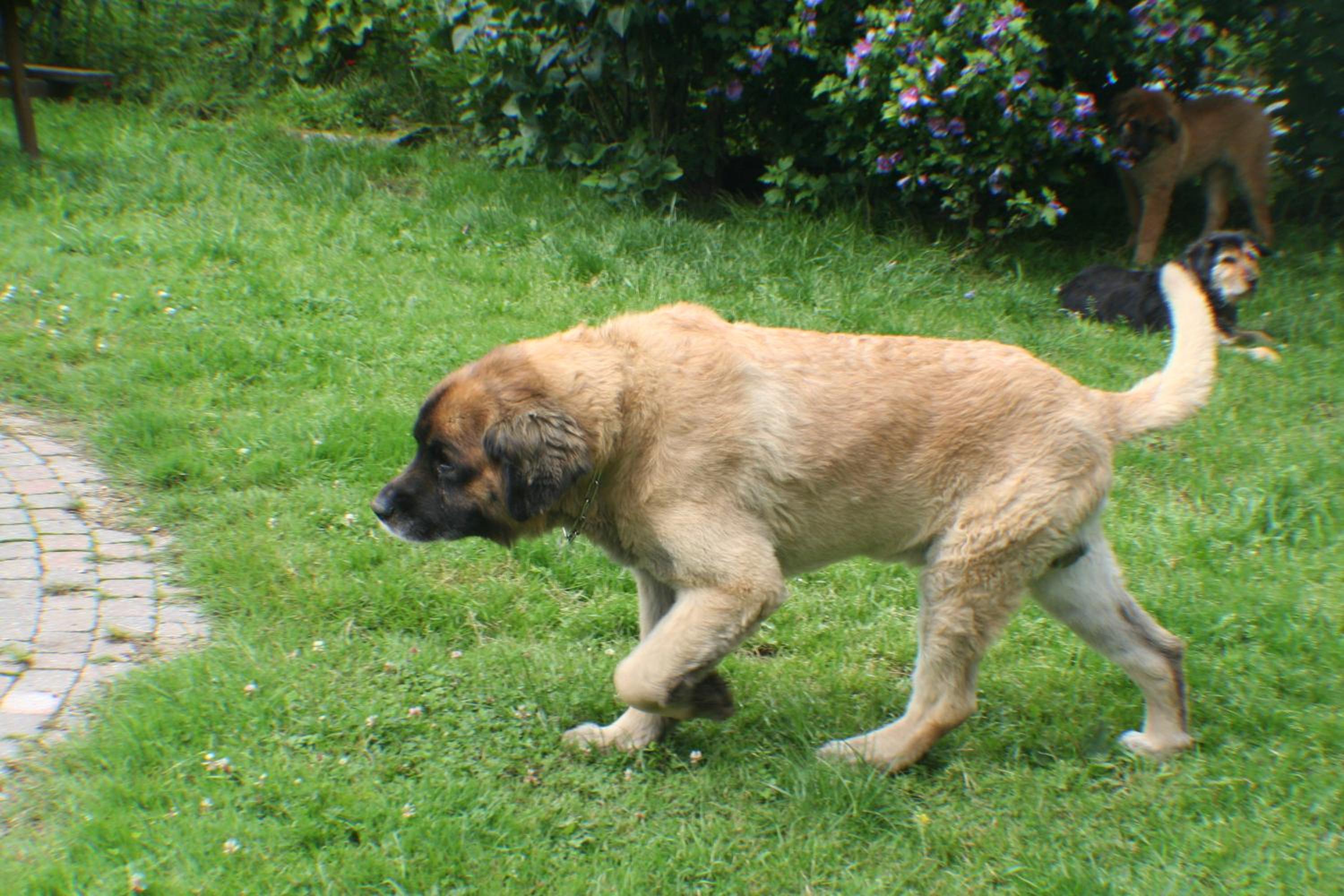 Photo 31