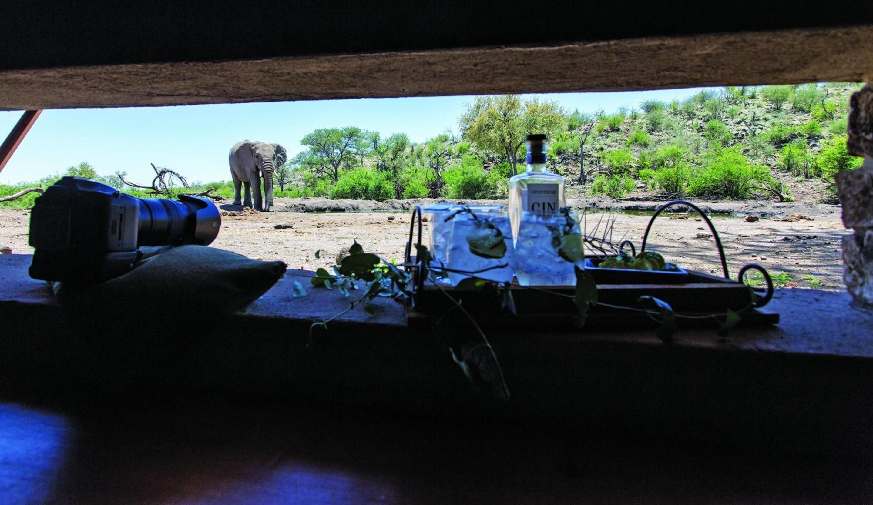 Tuningi Safari Lodge view 4