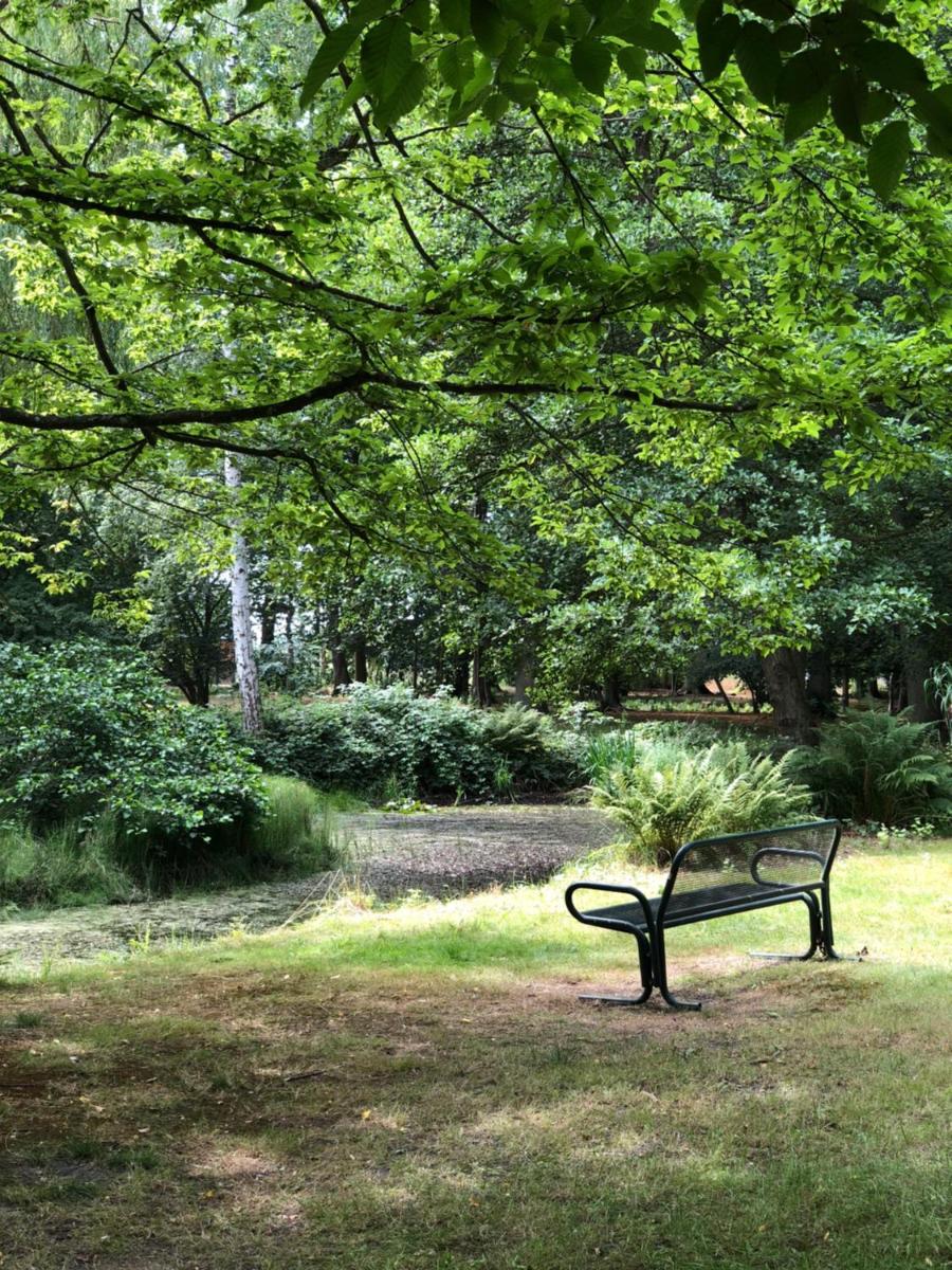 Ferienhaus und Ferienwohnung Eichhorn