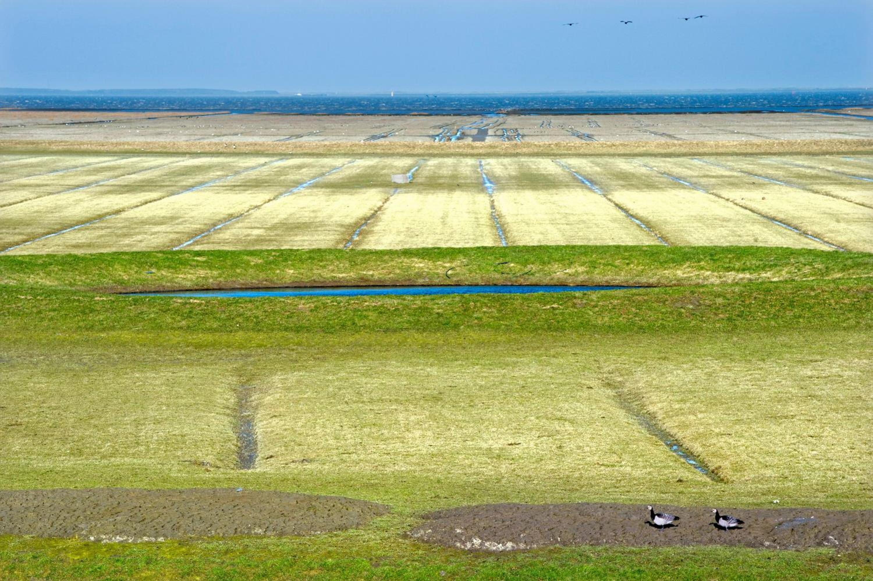 Countryside Eco Natuurhuisjes