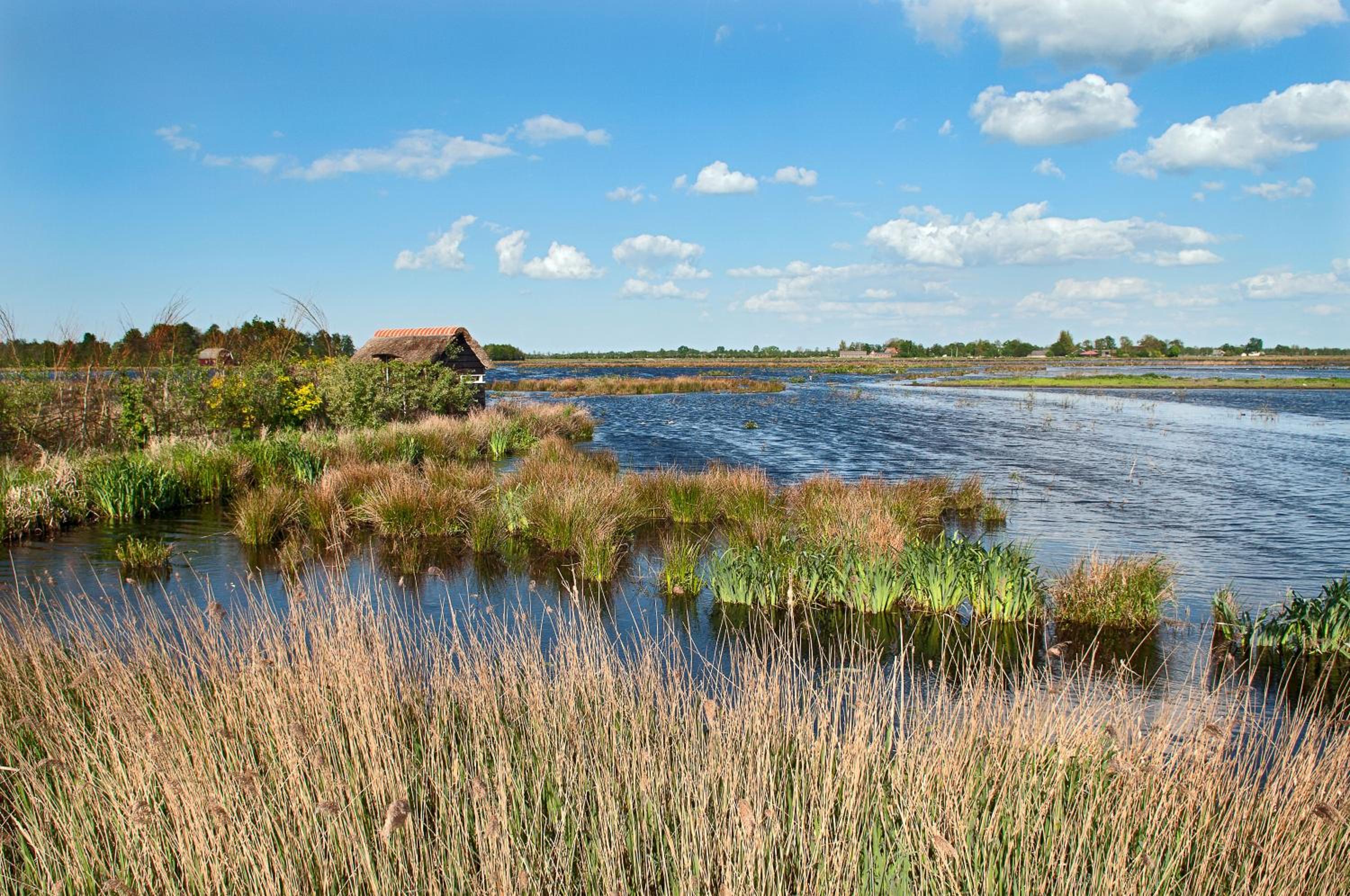 Countryside Eco Natuurhuisjes