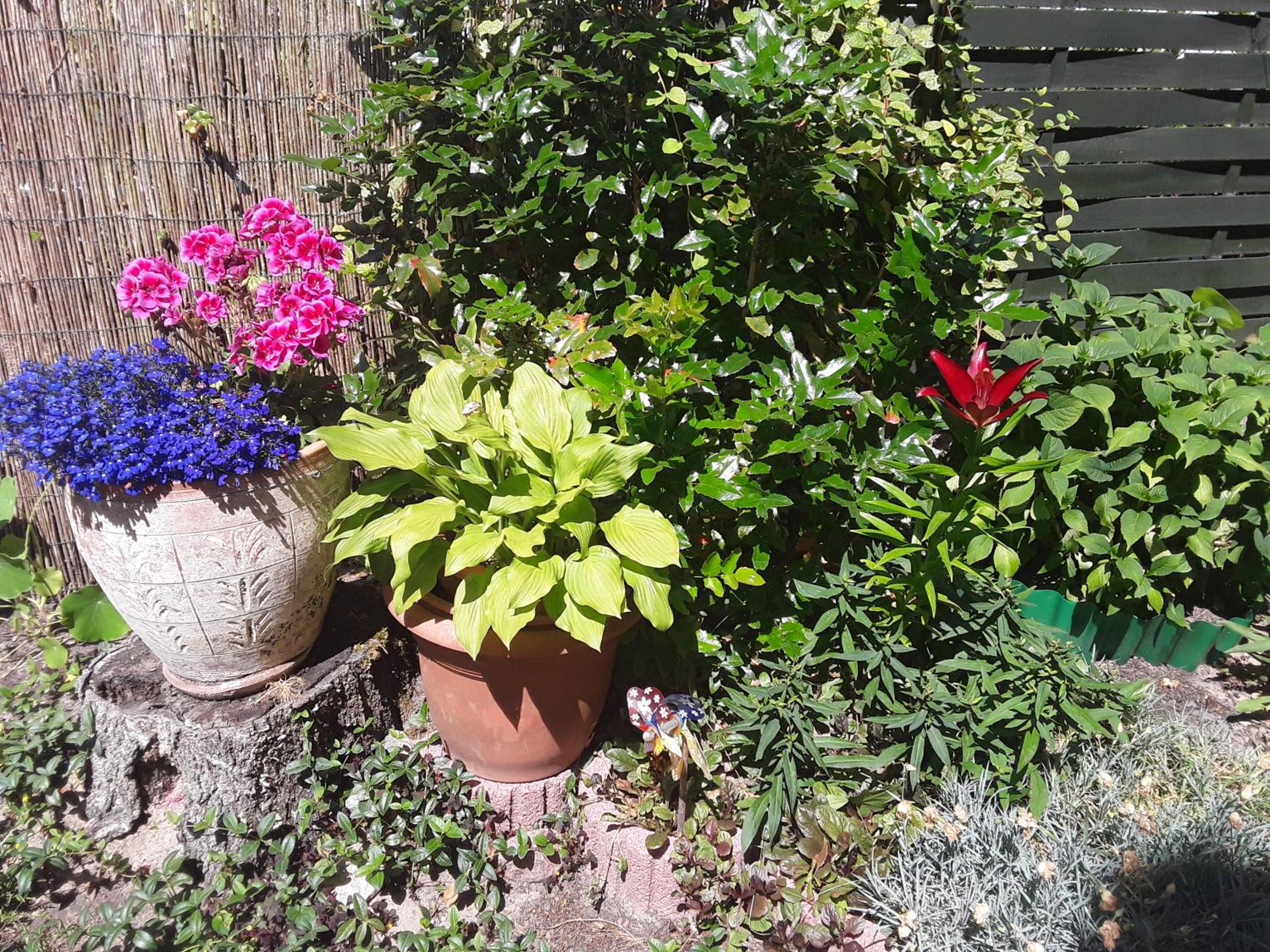 Photo 14