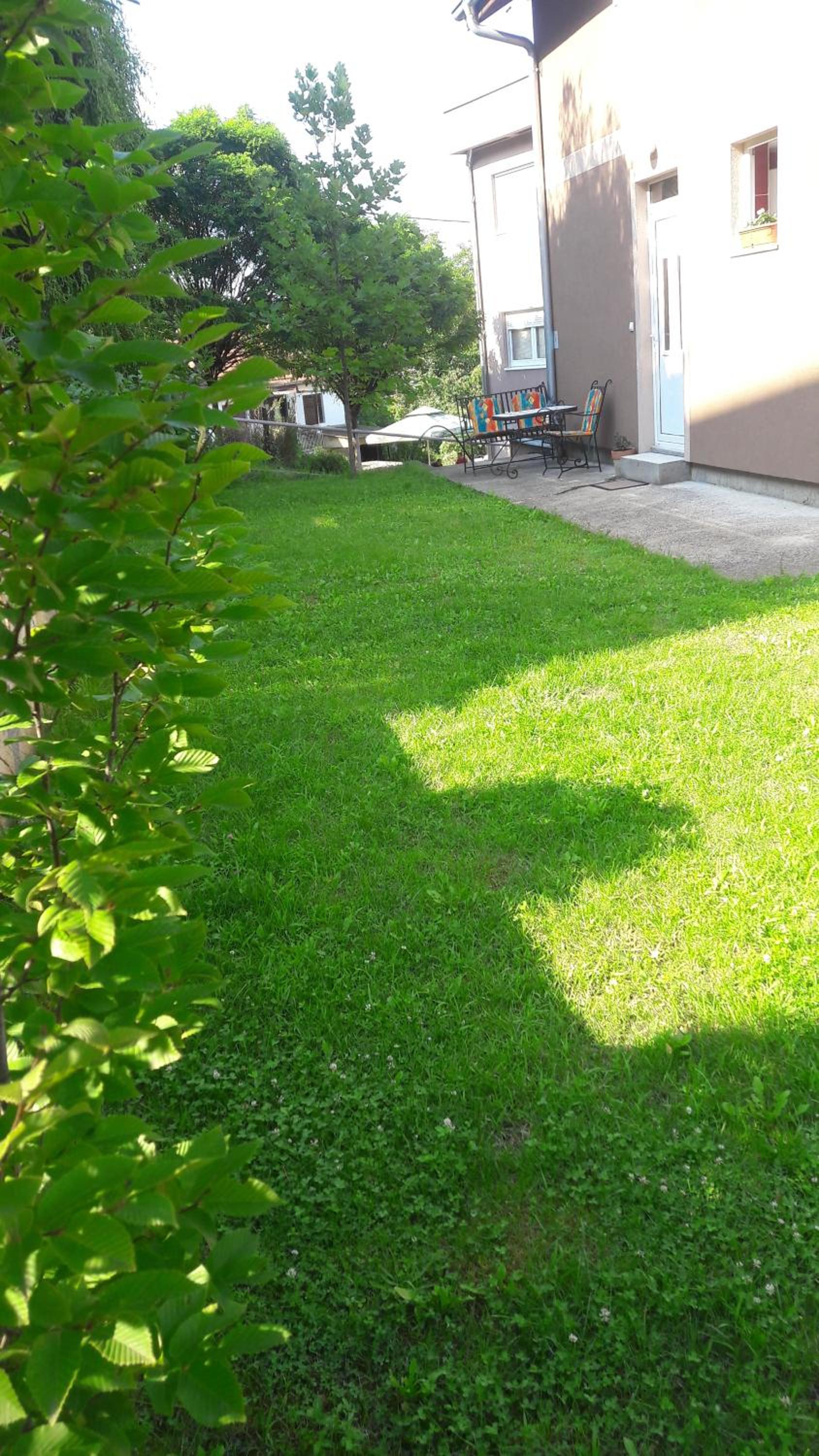 Photo 39