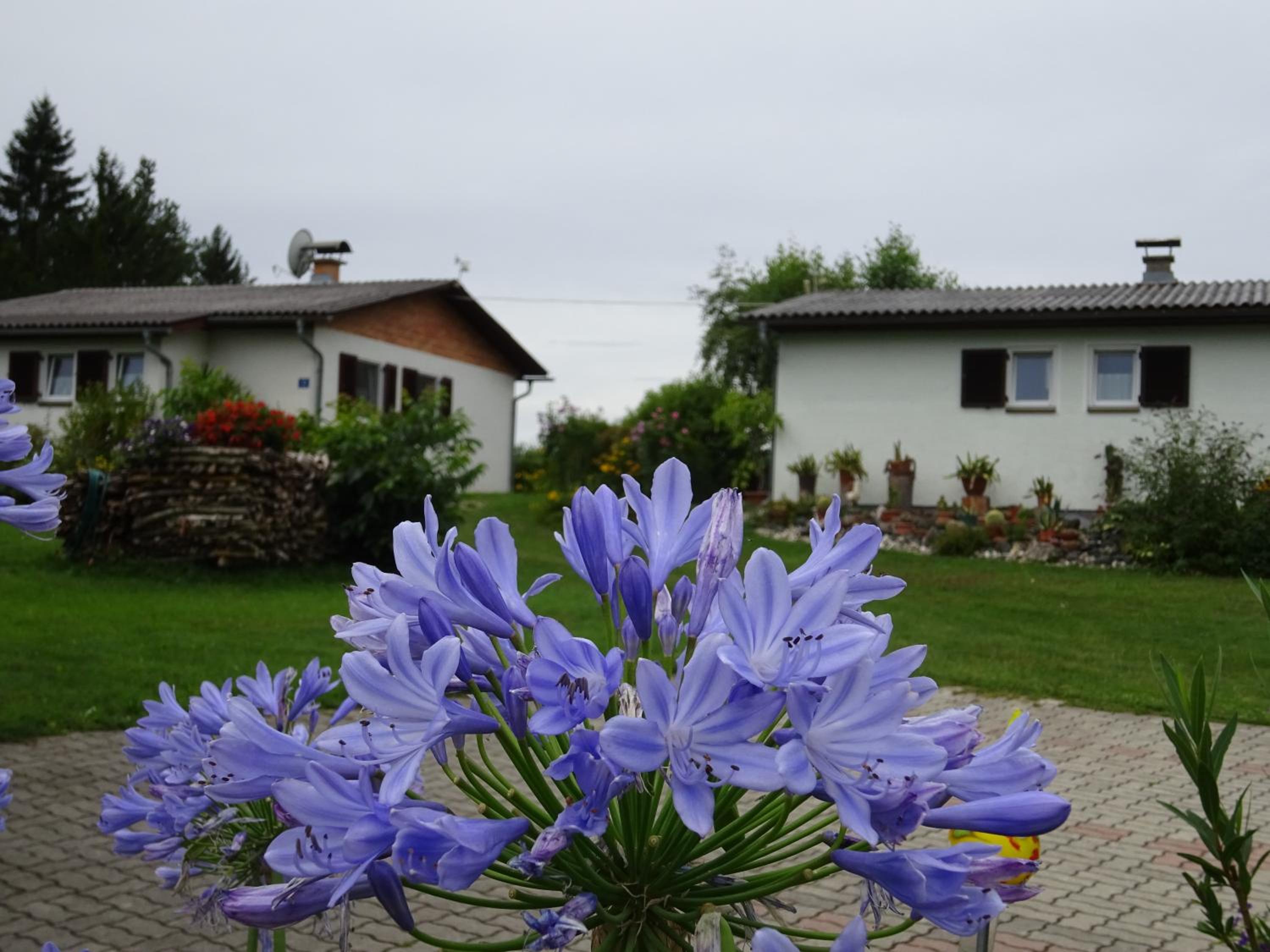 Bungalows Raschun Grabelsdorf Etruskerweg 10 A-9122 St.Kanzian