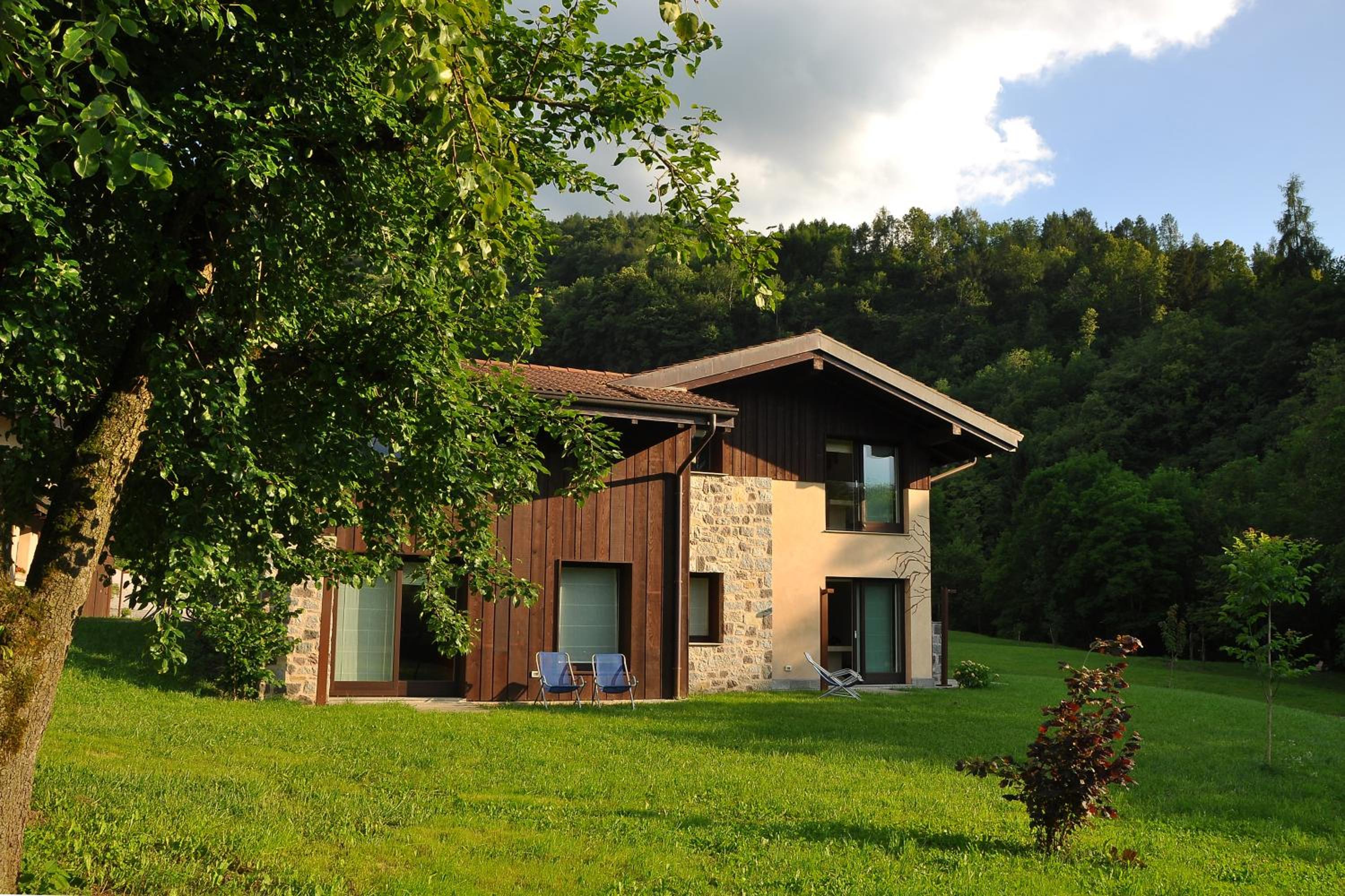 Quader nidi nel verde photo 2