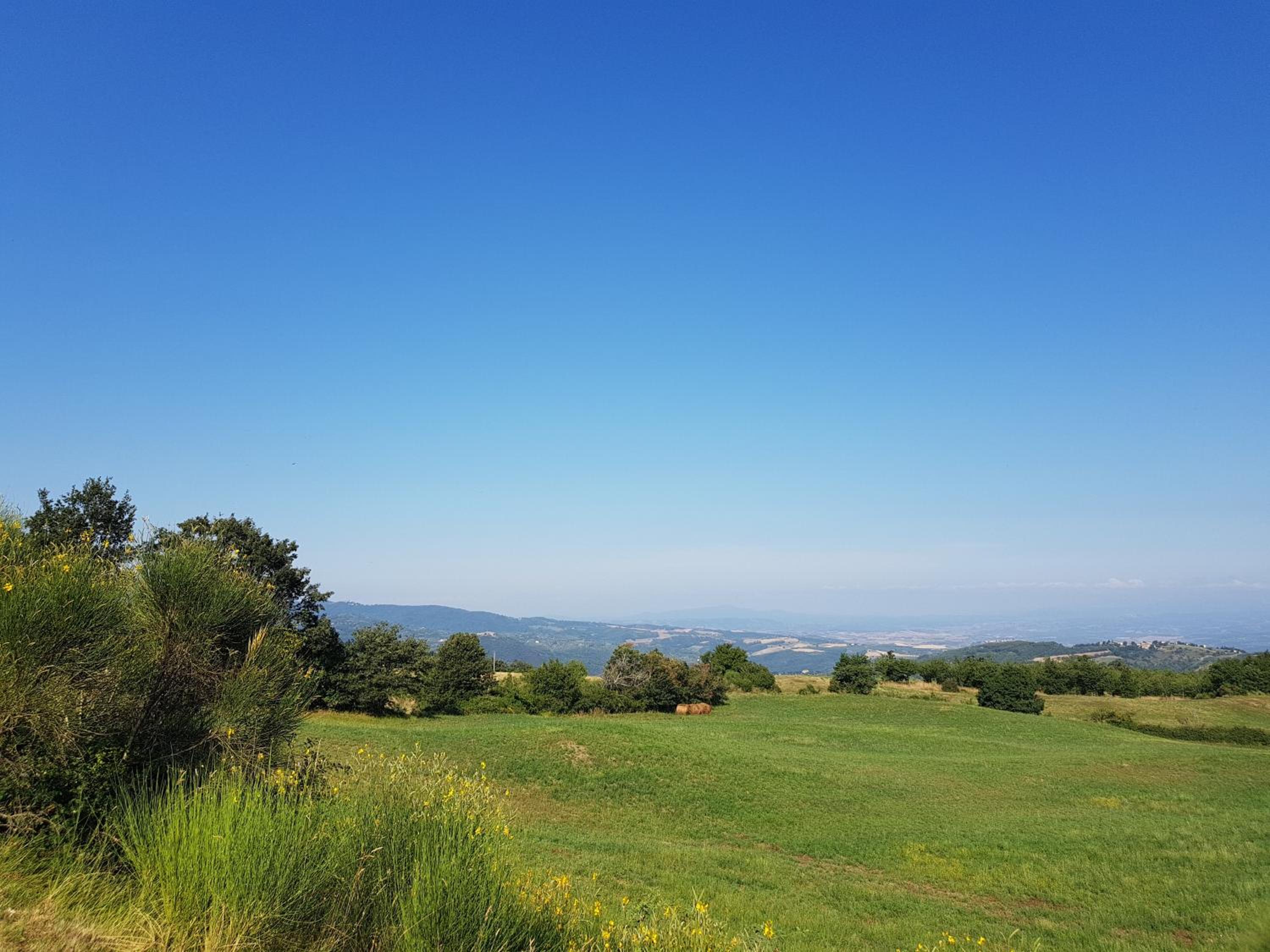 Agriturismo Le Casaline photo 5