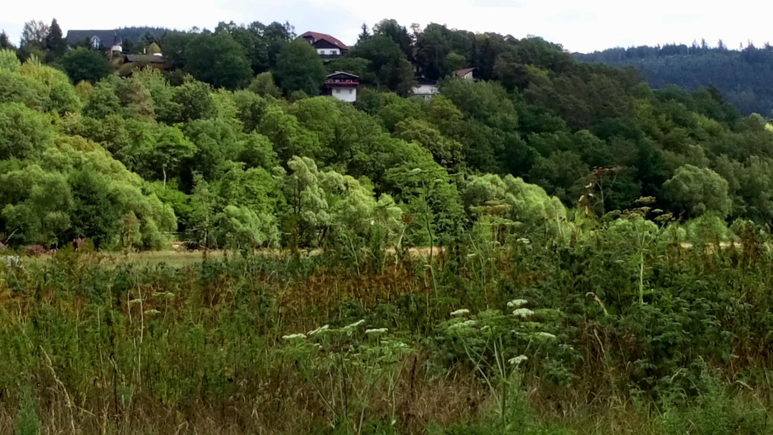Ferienhaus im Ederbergland
