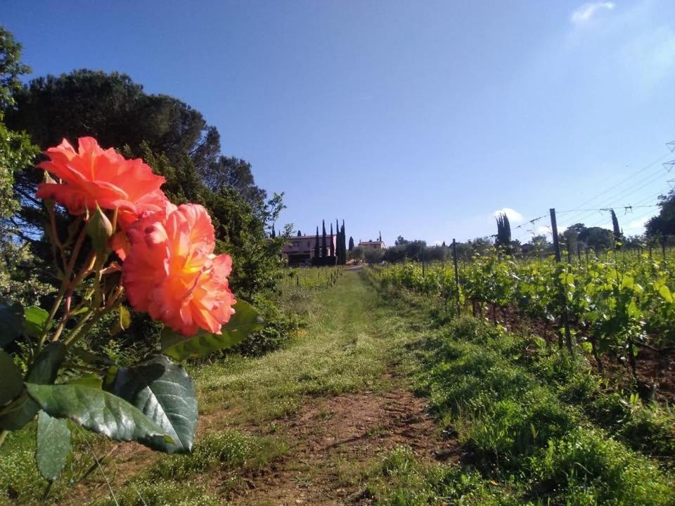 Agriturismo Gli Archi