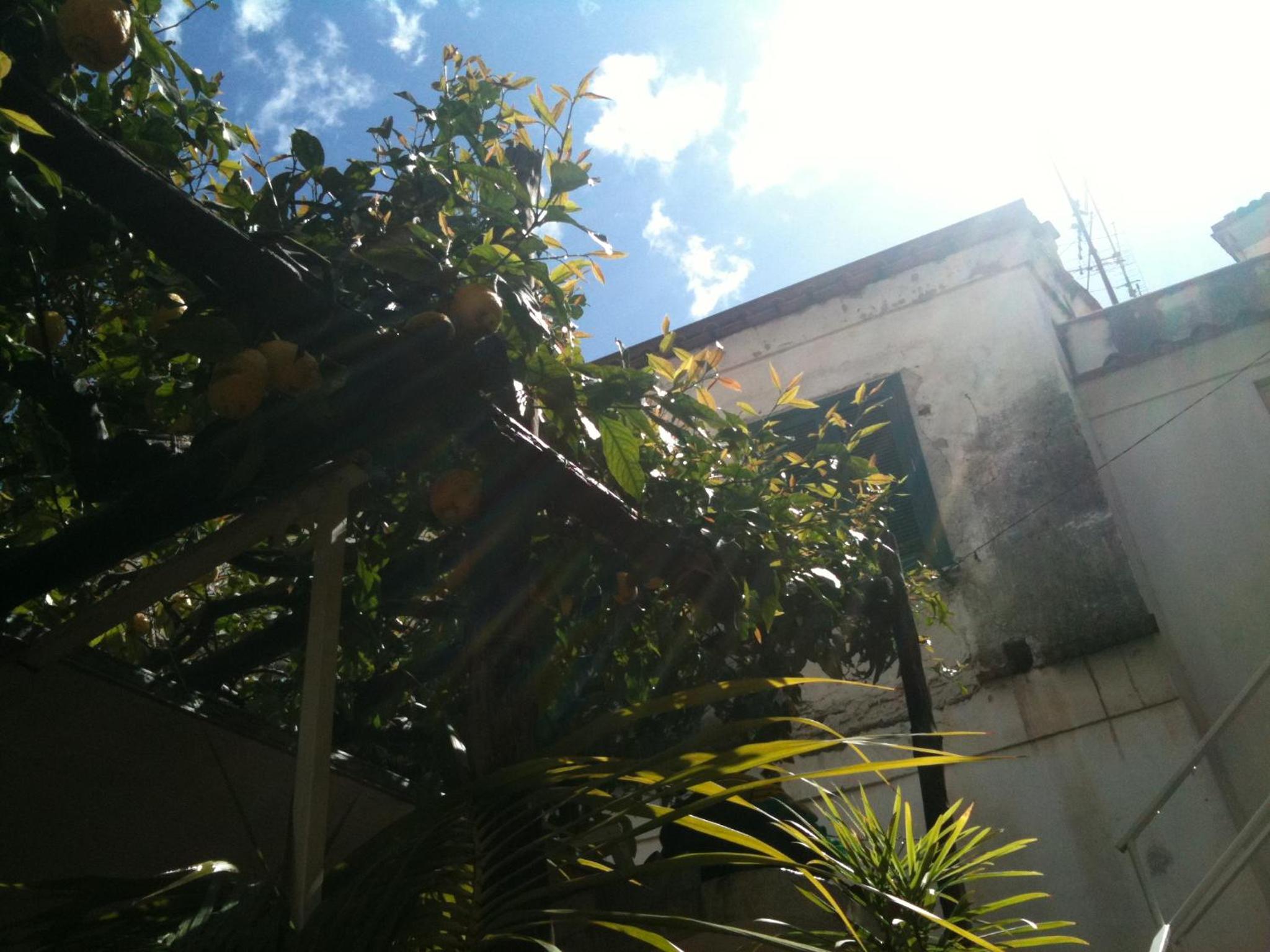 A Passo Duomo photo 4