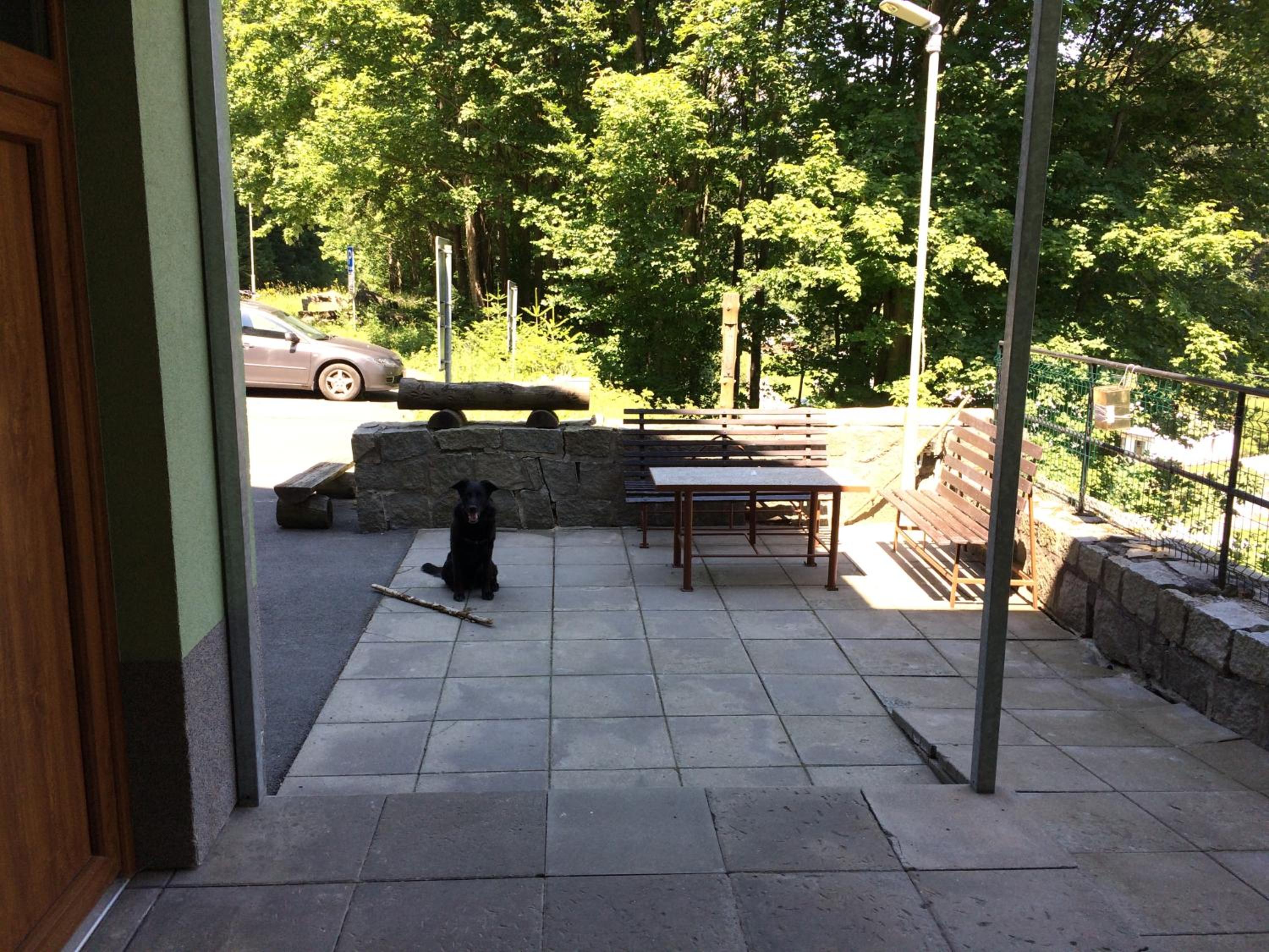 Photo 14