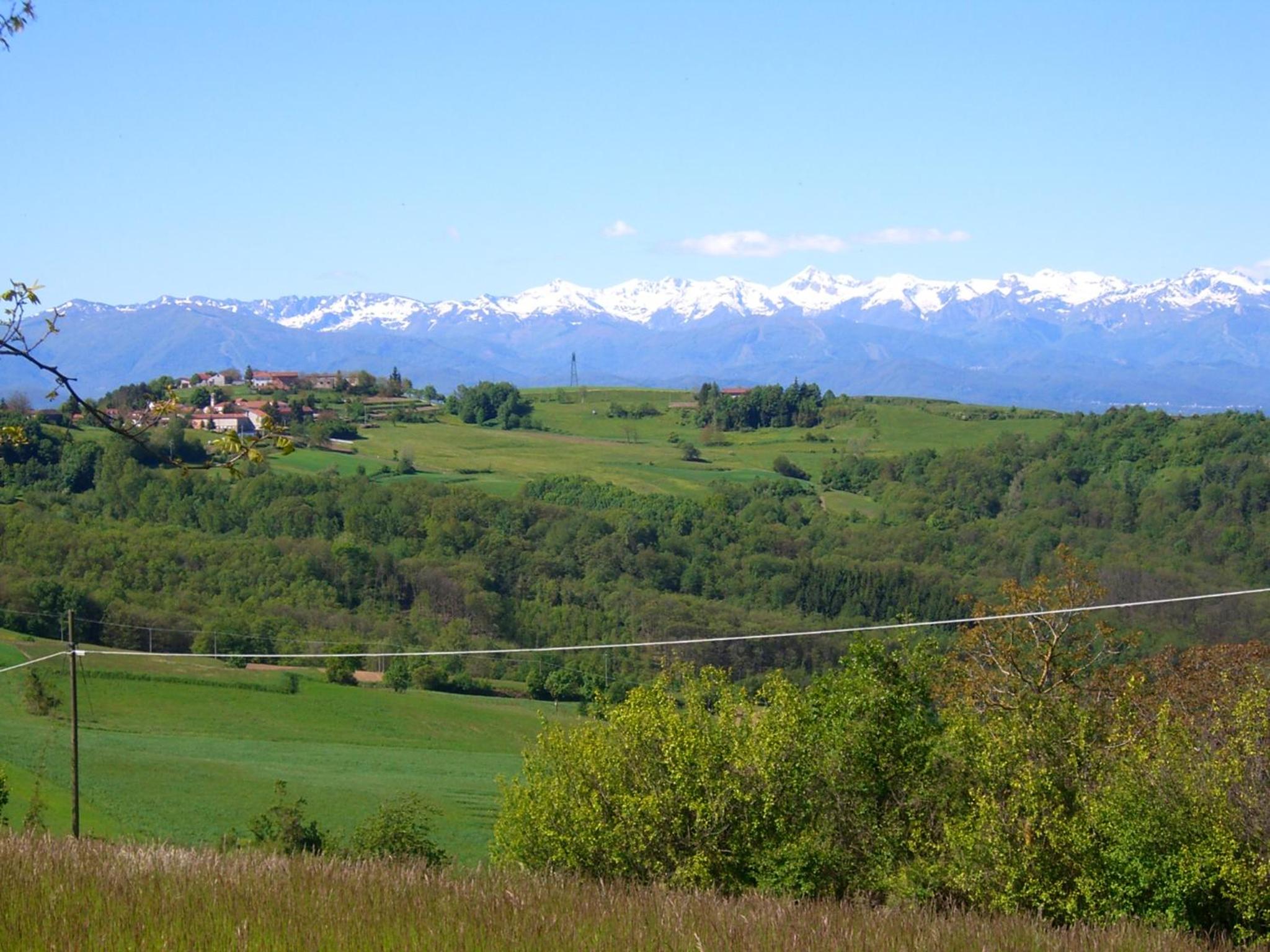 Photo 42