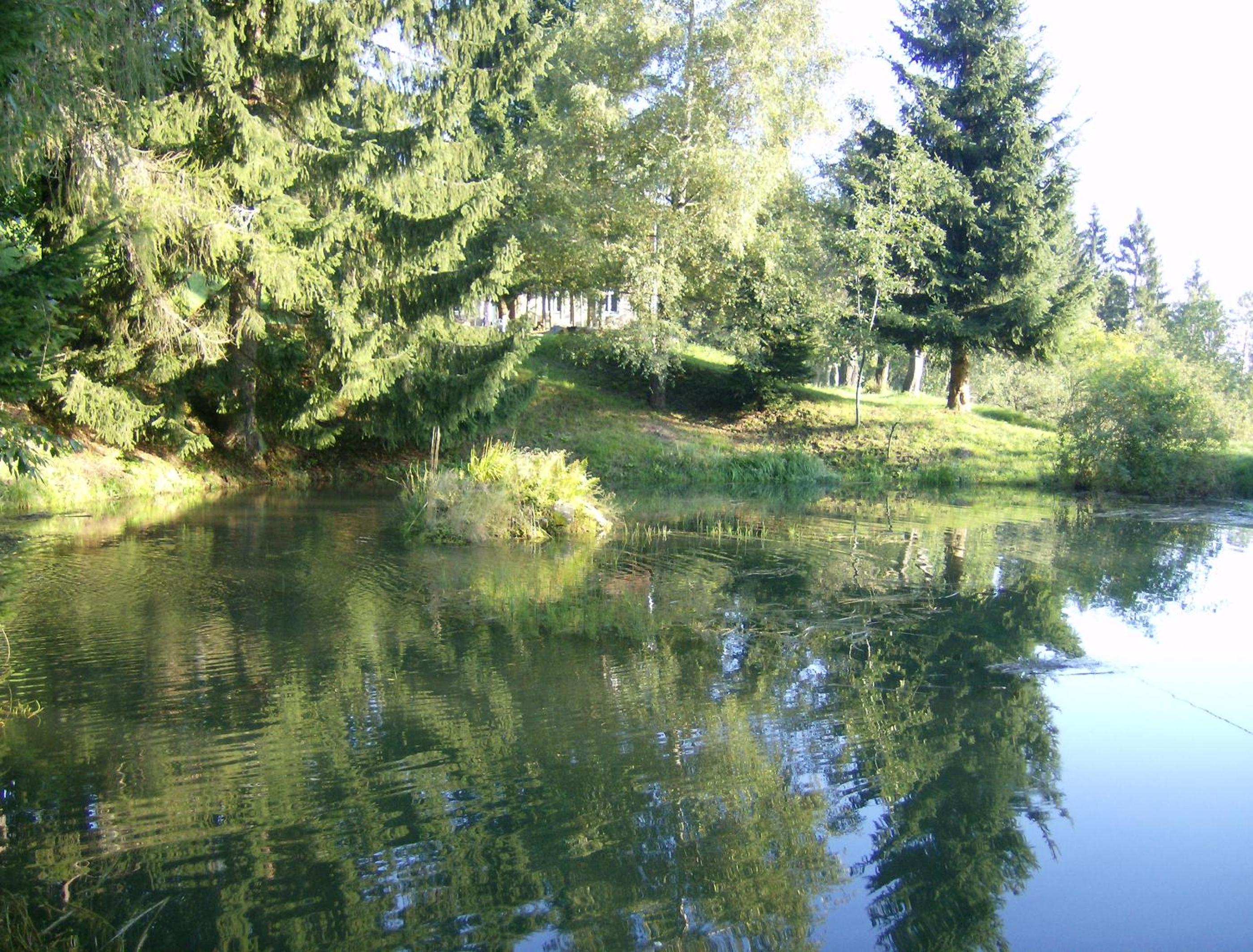 Photo 25