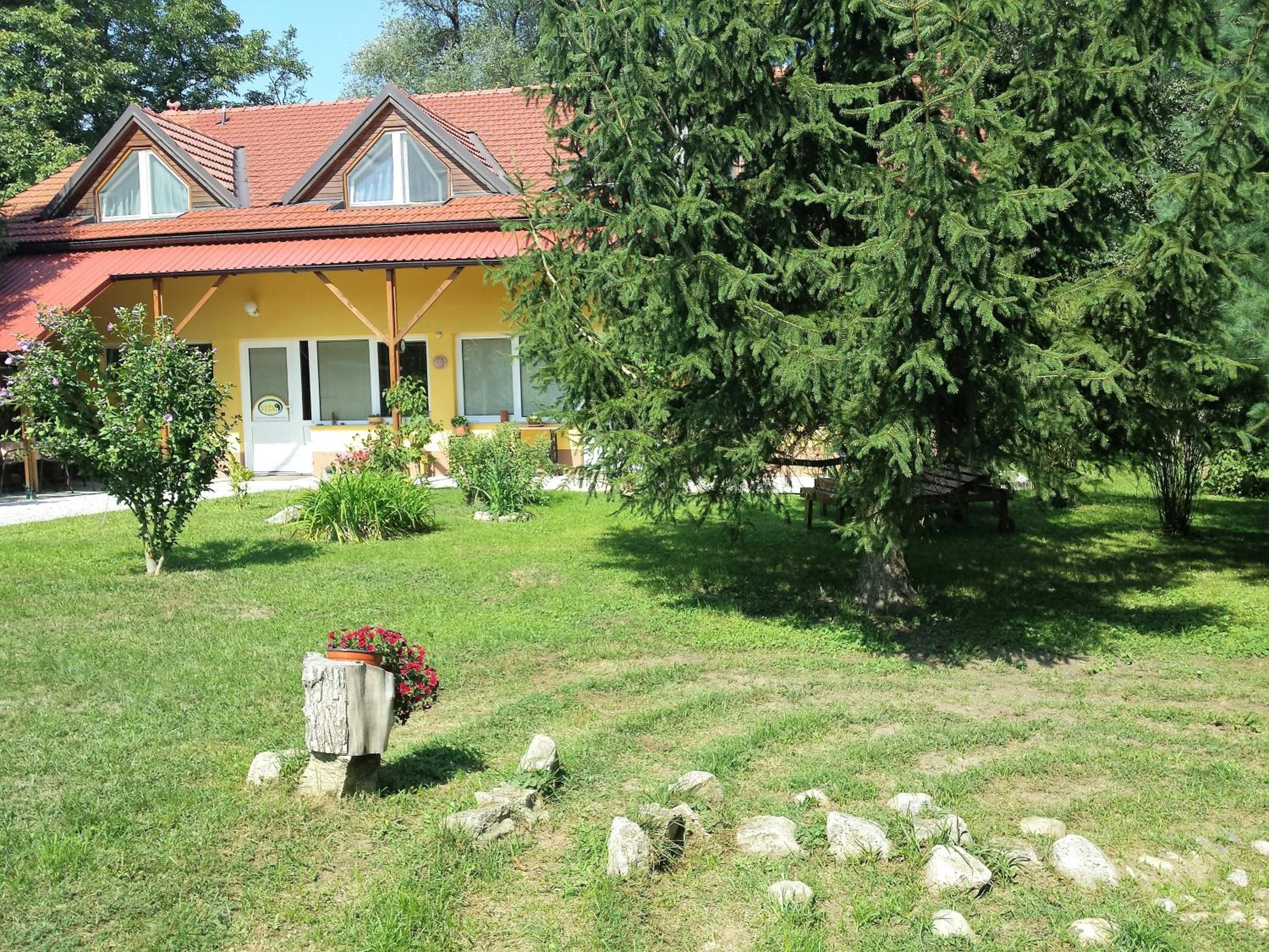 Photo 17