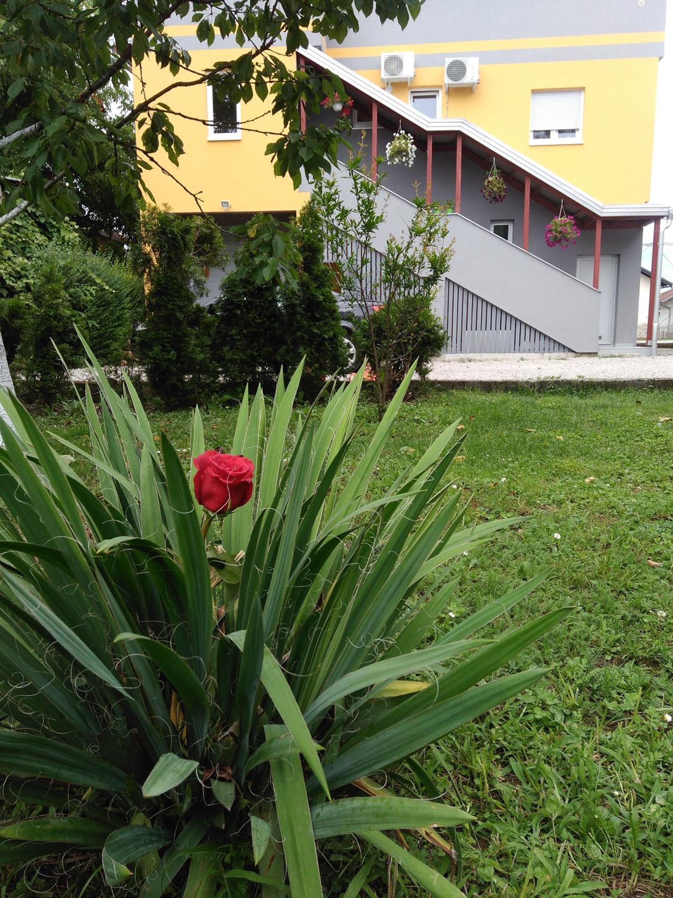 Photo 14