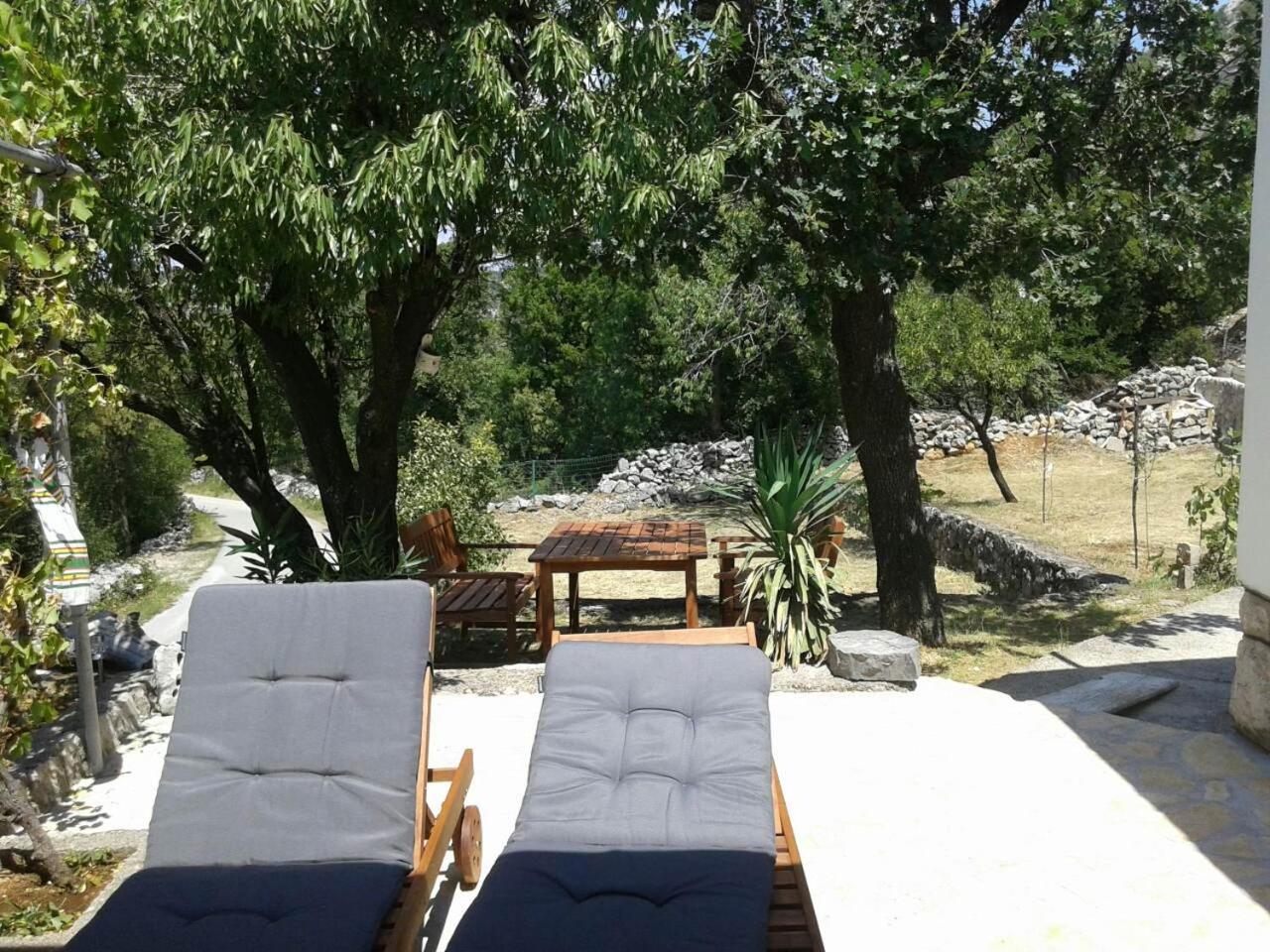 Photo 21