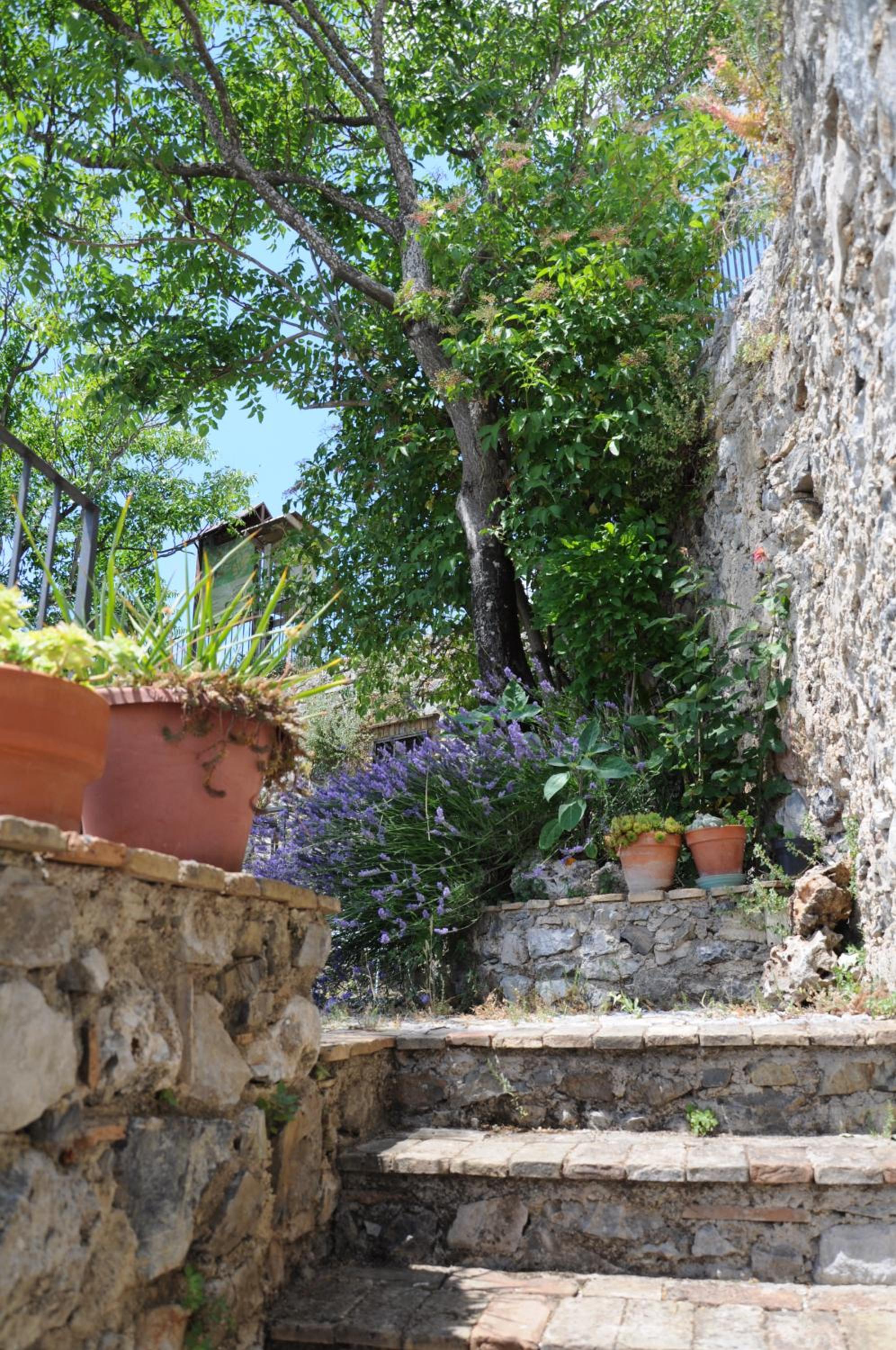 Il Nibbio - Casa dell'artista view 2