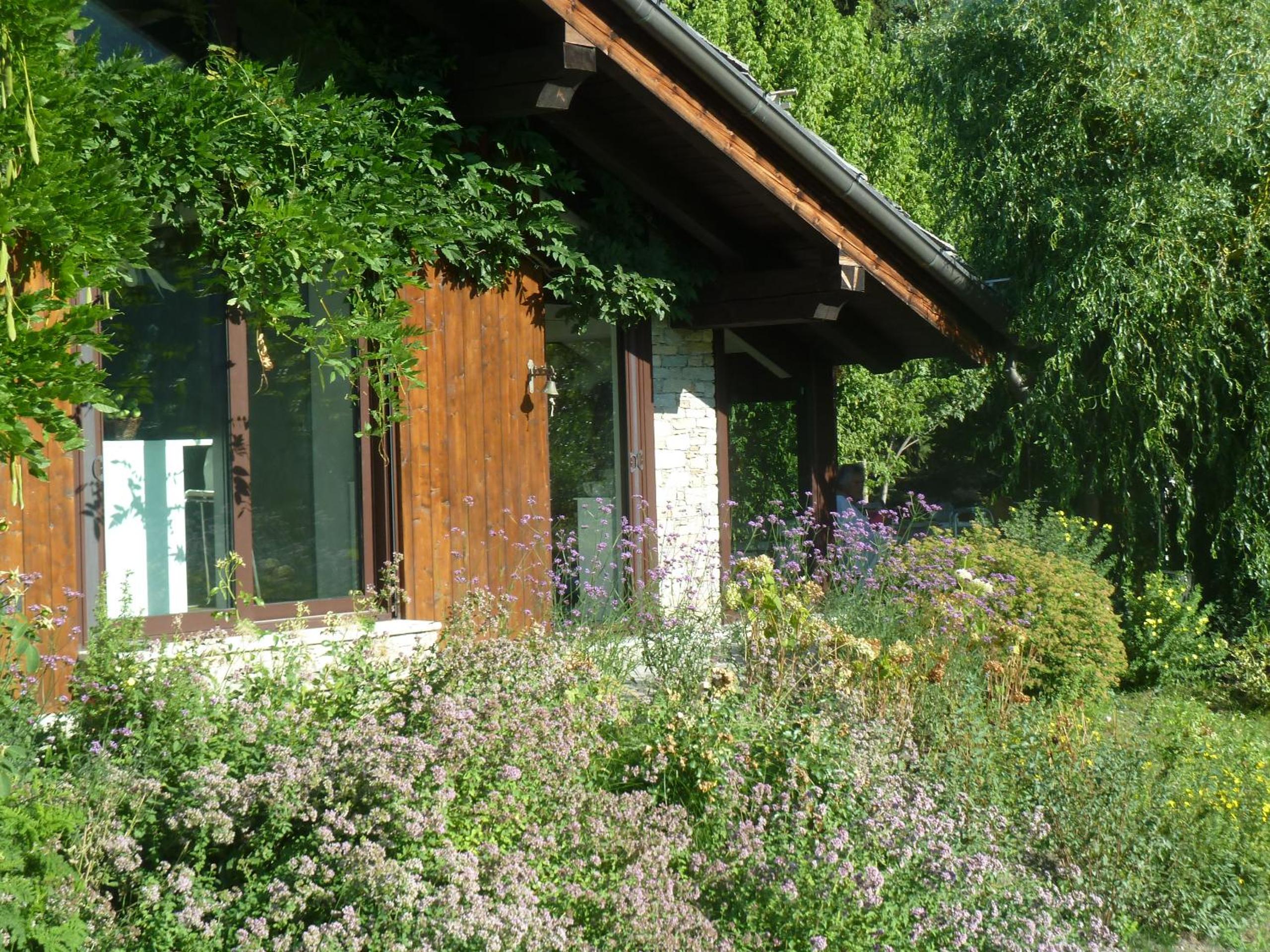 Photo 12