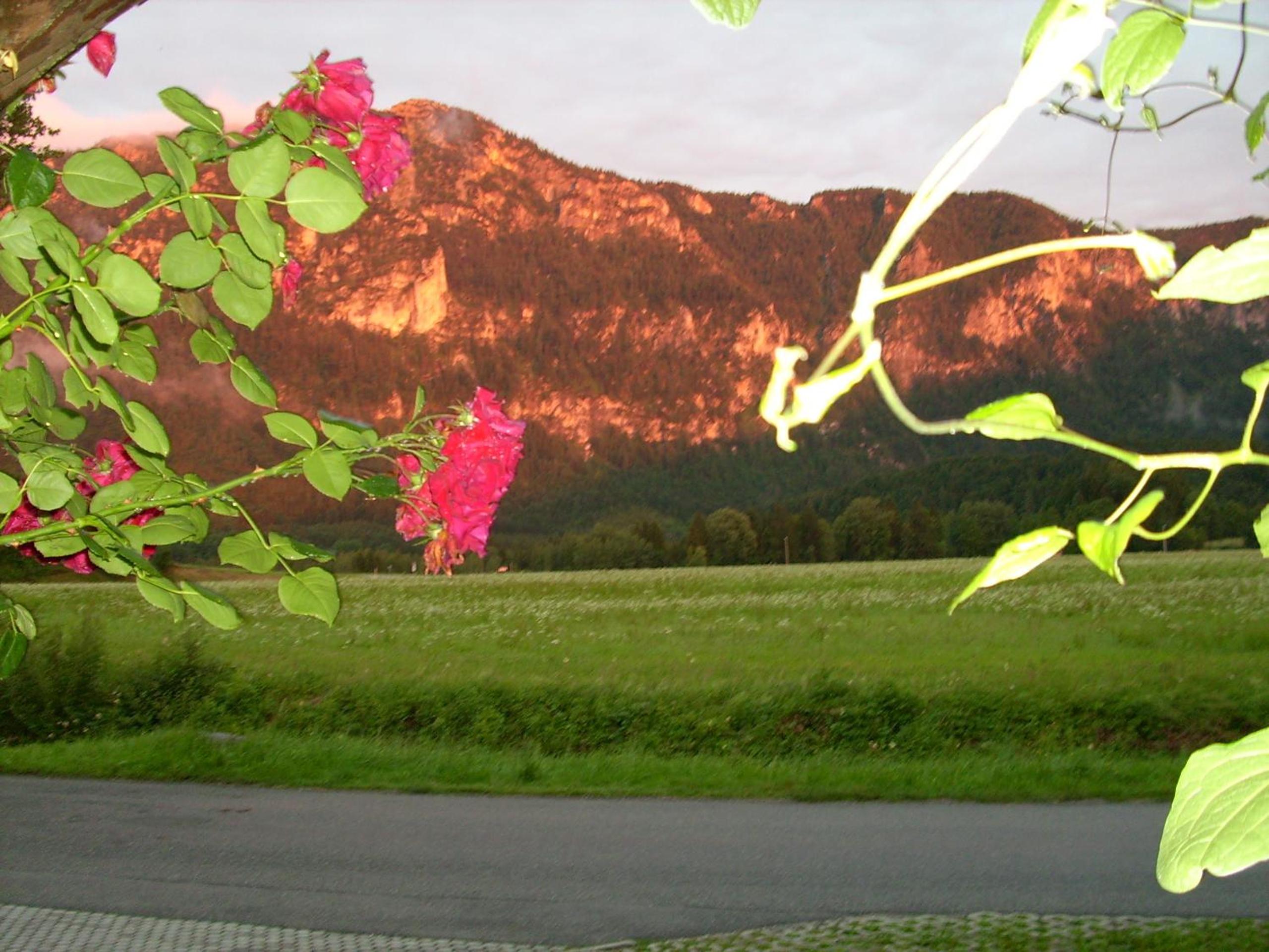 Gästehaus Barbara Schwaiger - Chiemgau Karte