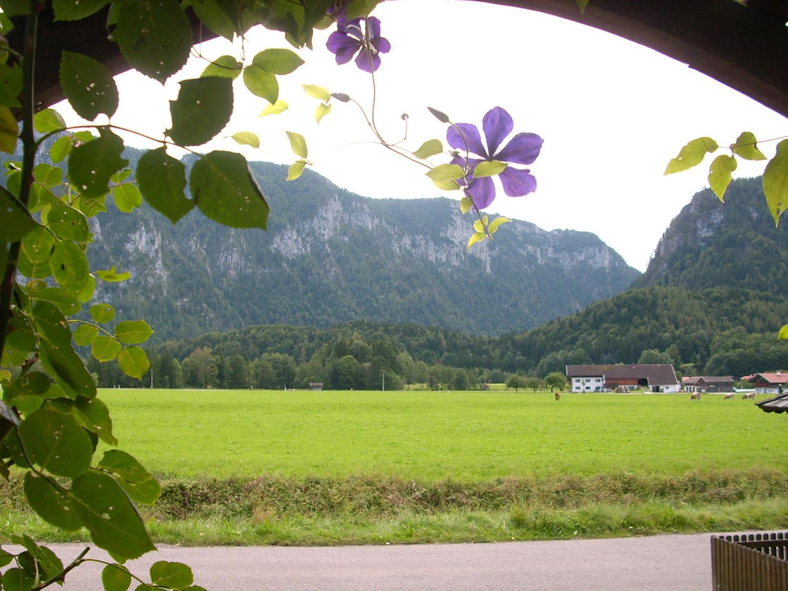 Gästehaus Barbara Schwaiger - Chiemgau Karte