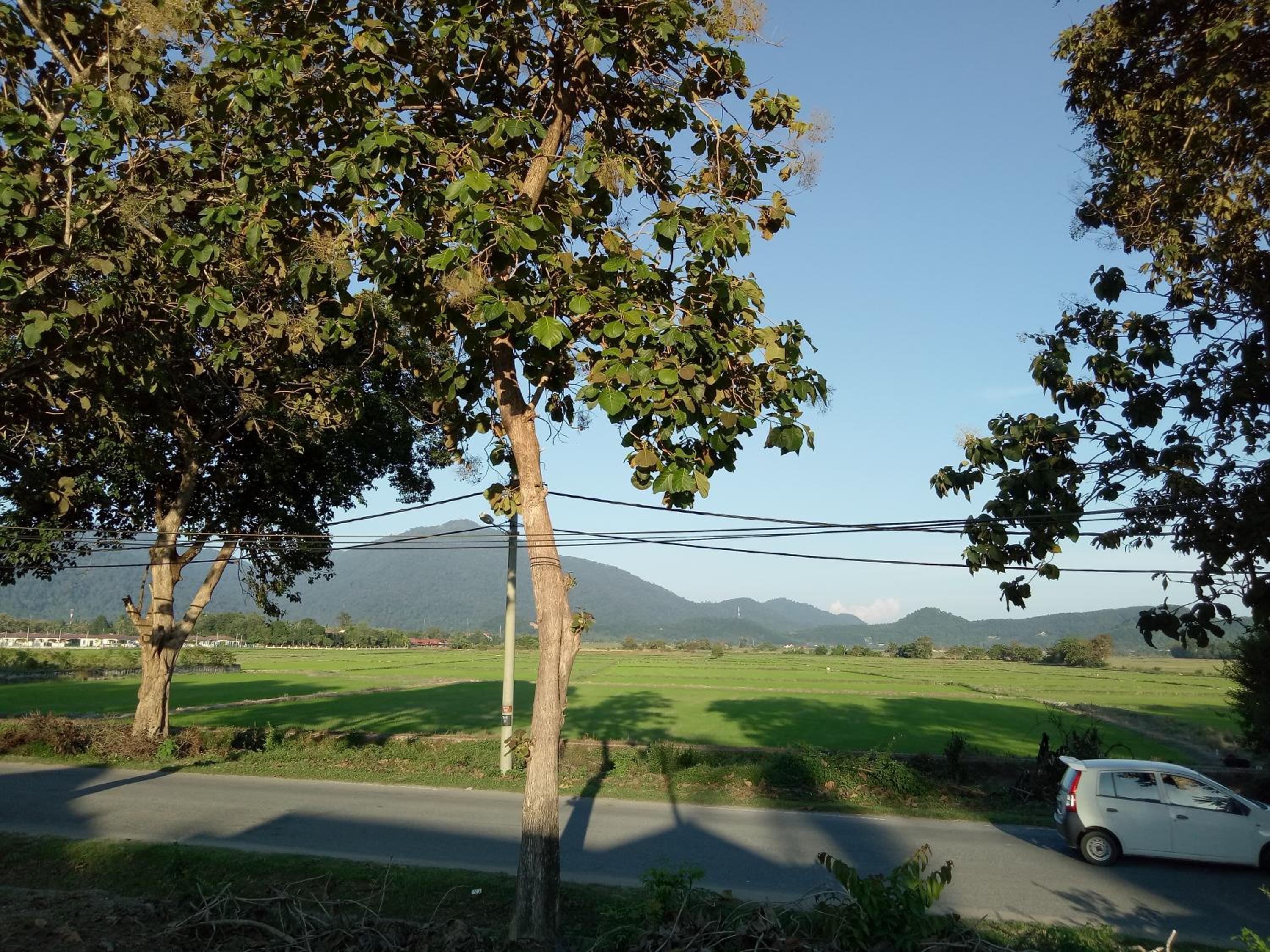 IDUL Sunrise View photo 5