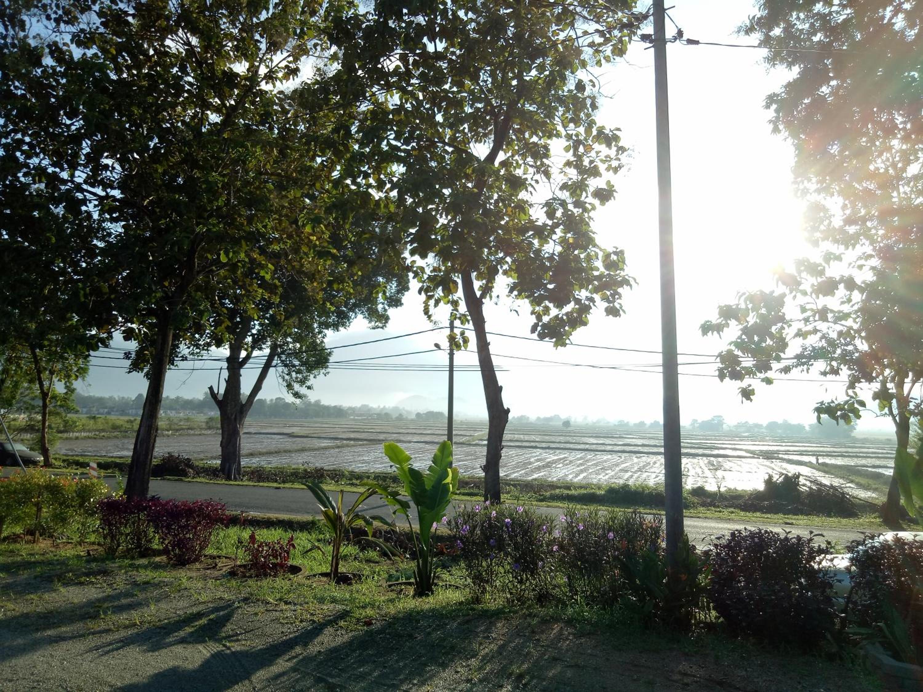 IDUL Sunrise View photo 4