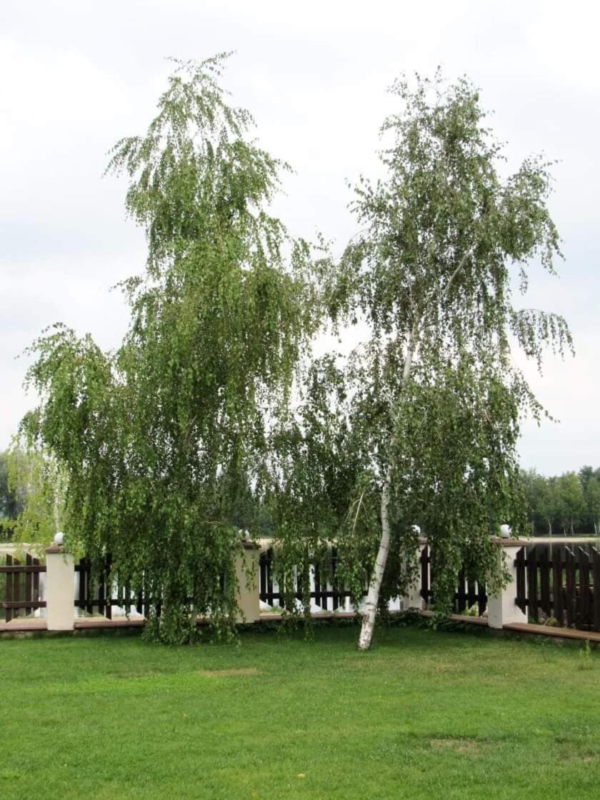 children's play area
