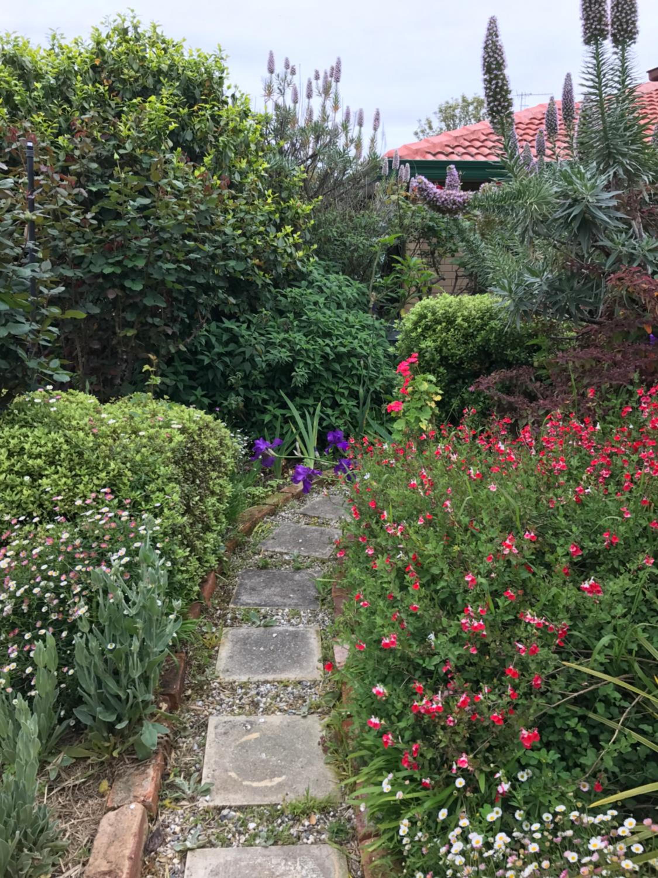Admurraya House Bed & Breakfast