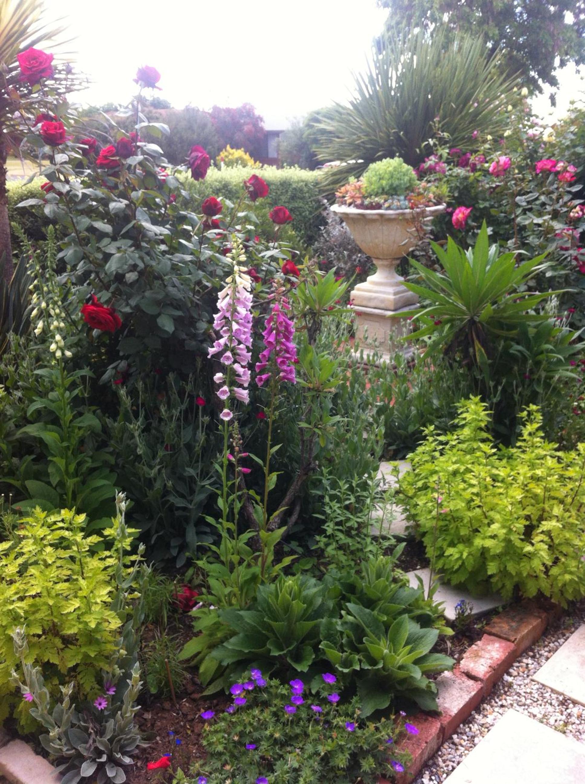 Admurraya House Bed & Breakfast