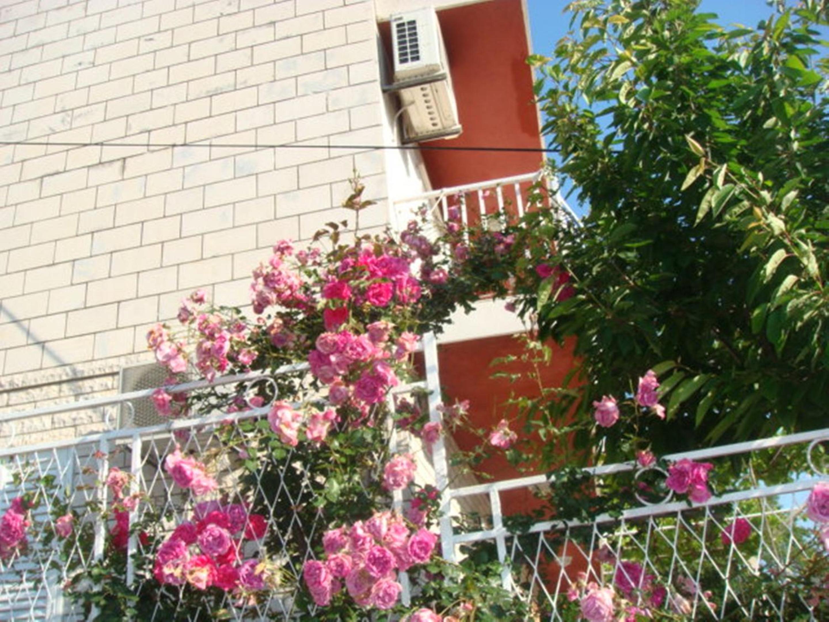Apartments Lile