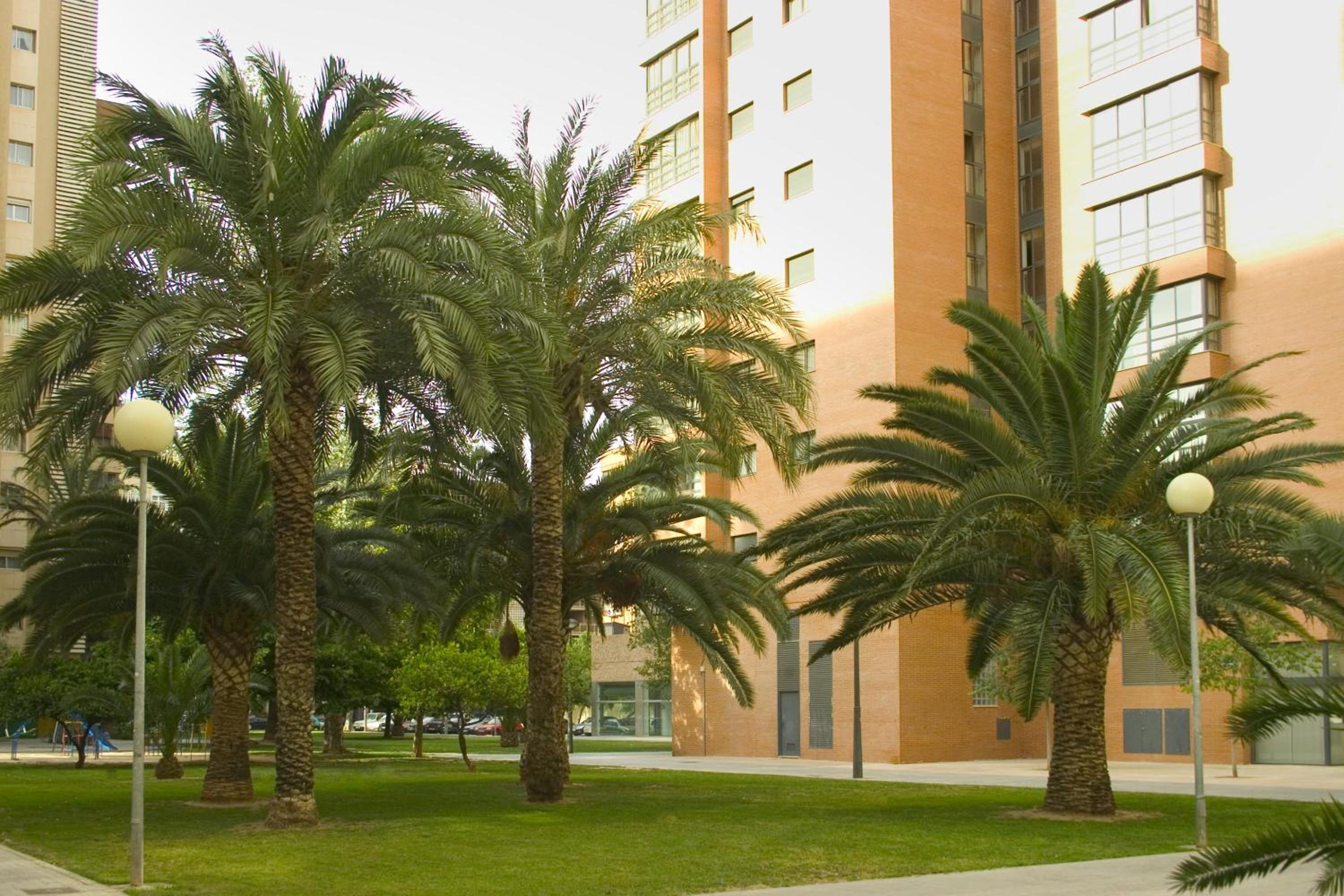 Apartamentos Plaza Picasso - Image 3