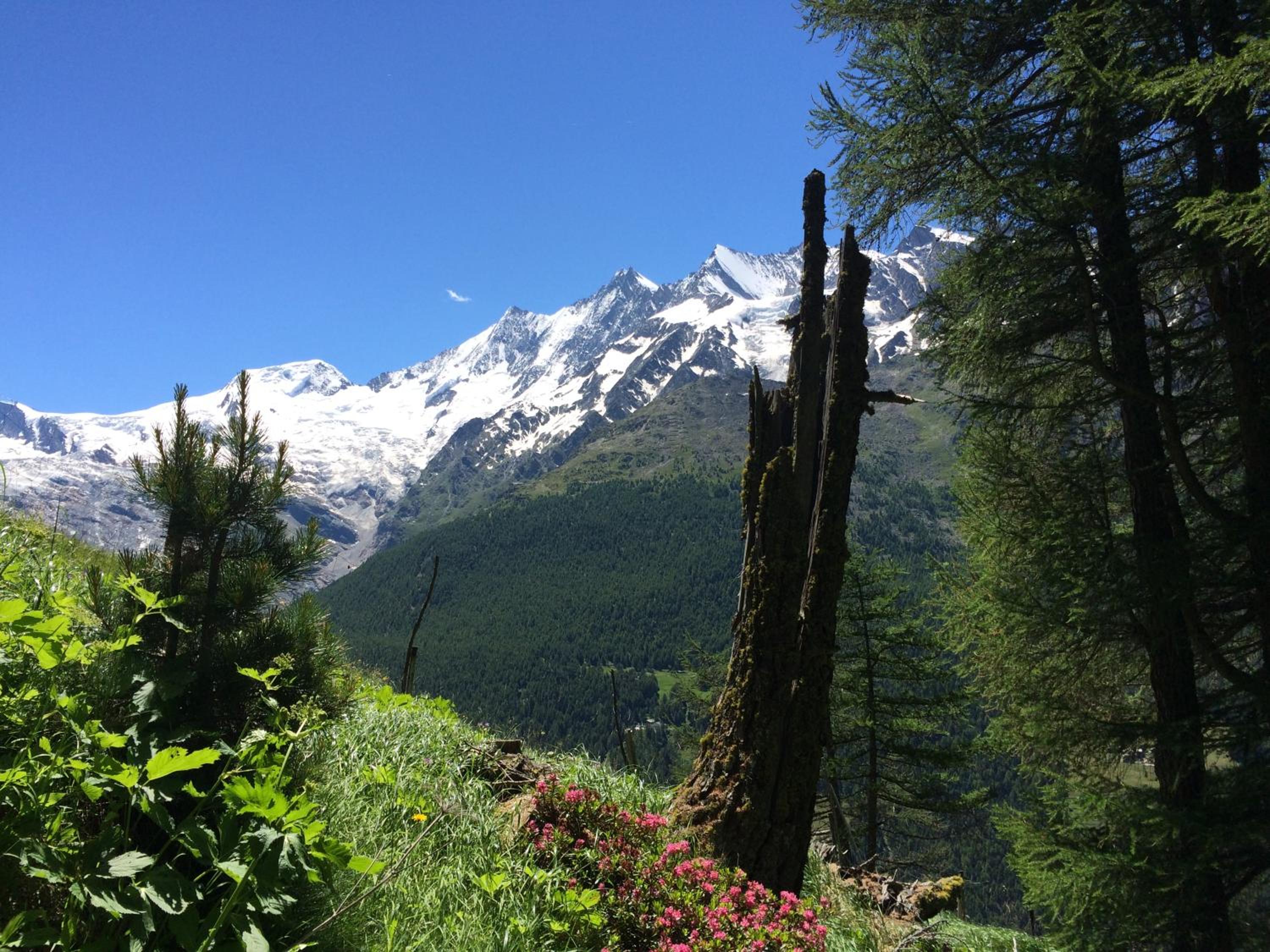 B&B Haus Granit Saas Grund