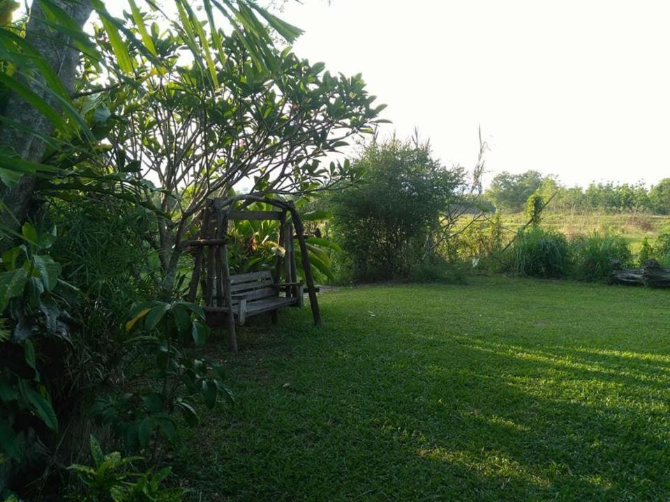 Photo 35
