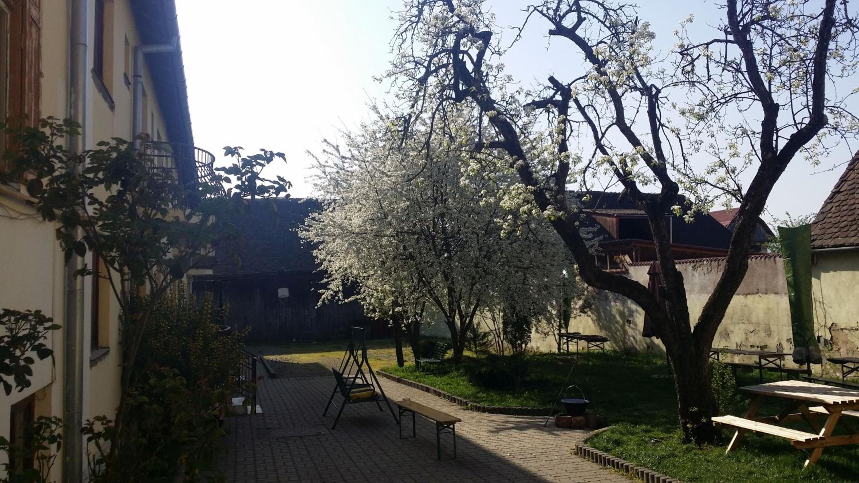Photo 22
