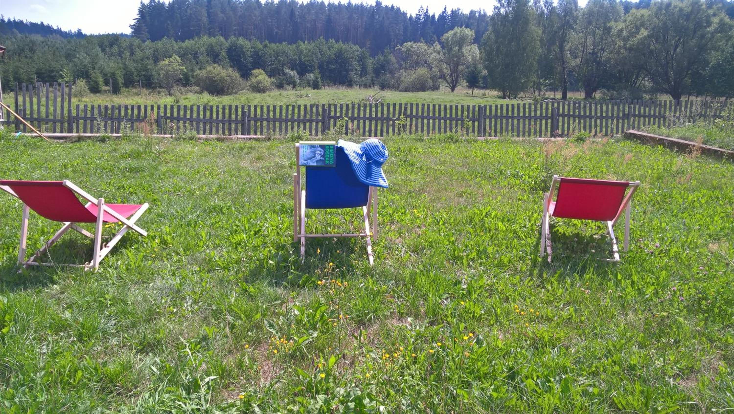 Jabłkowo-na skraju Puszczy Boreckiej ŚNIADANIA W CENIE view 3