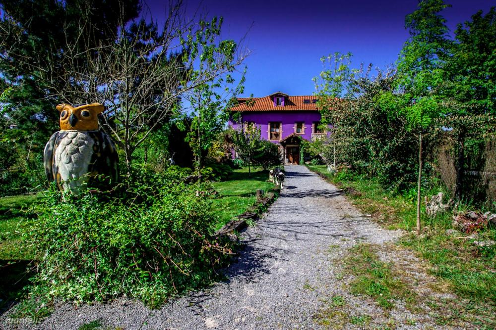 El Búho de la Remolina