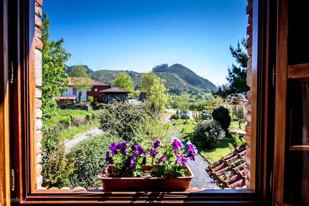 El Búho de la Remolina